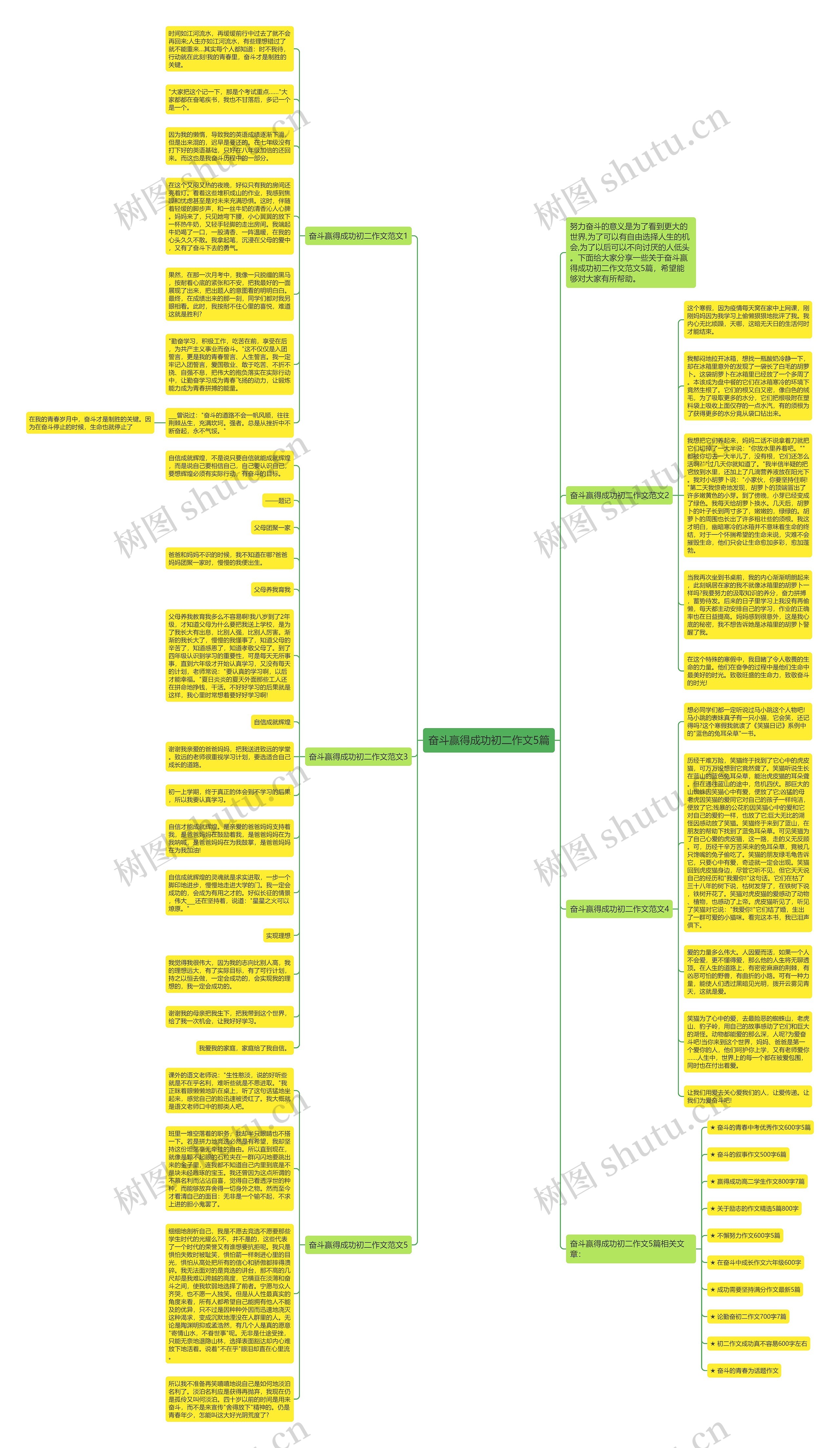 奋斗赢得成功初二作文5篇思维导图