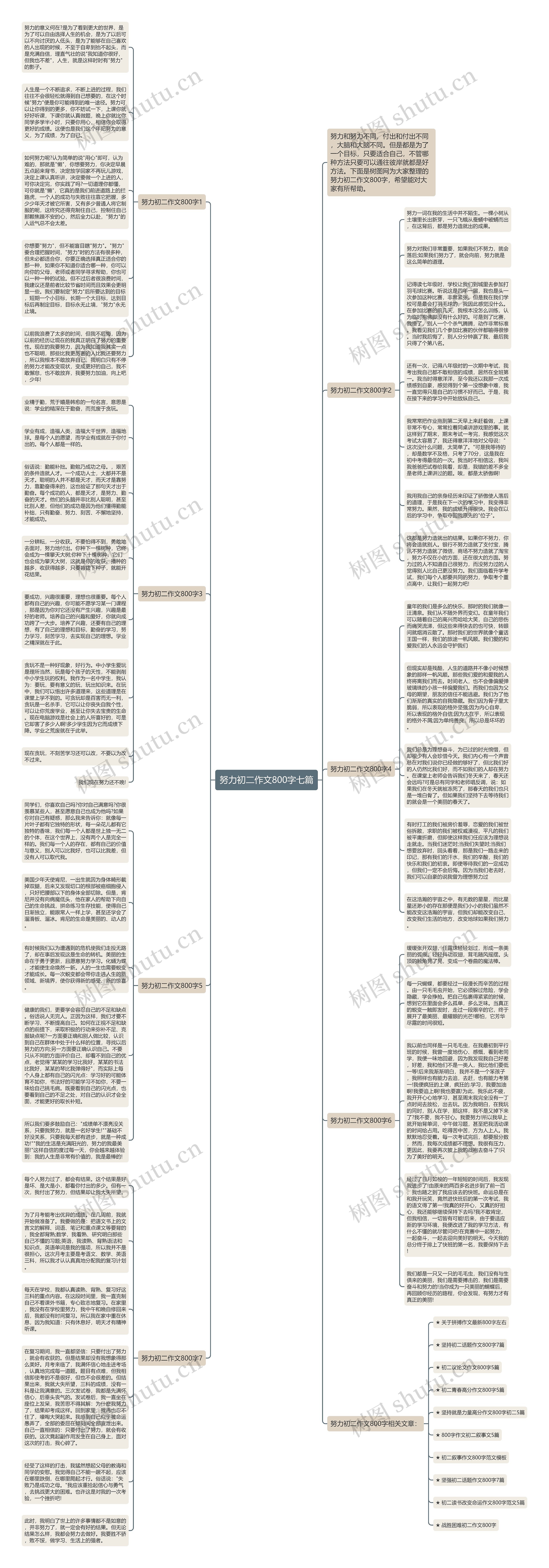 努力初二作文800字七篇思维导图