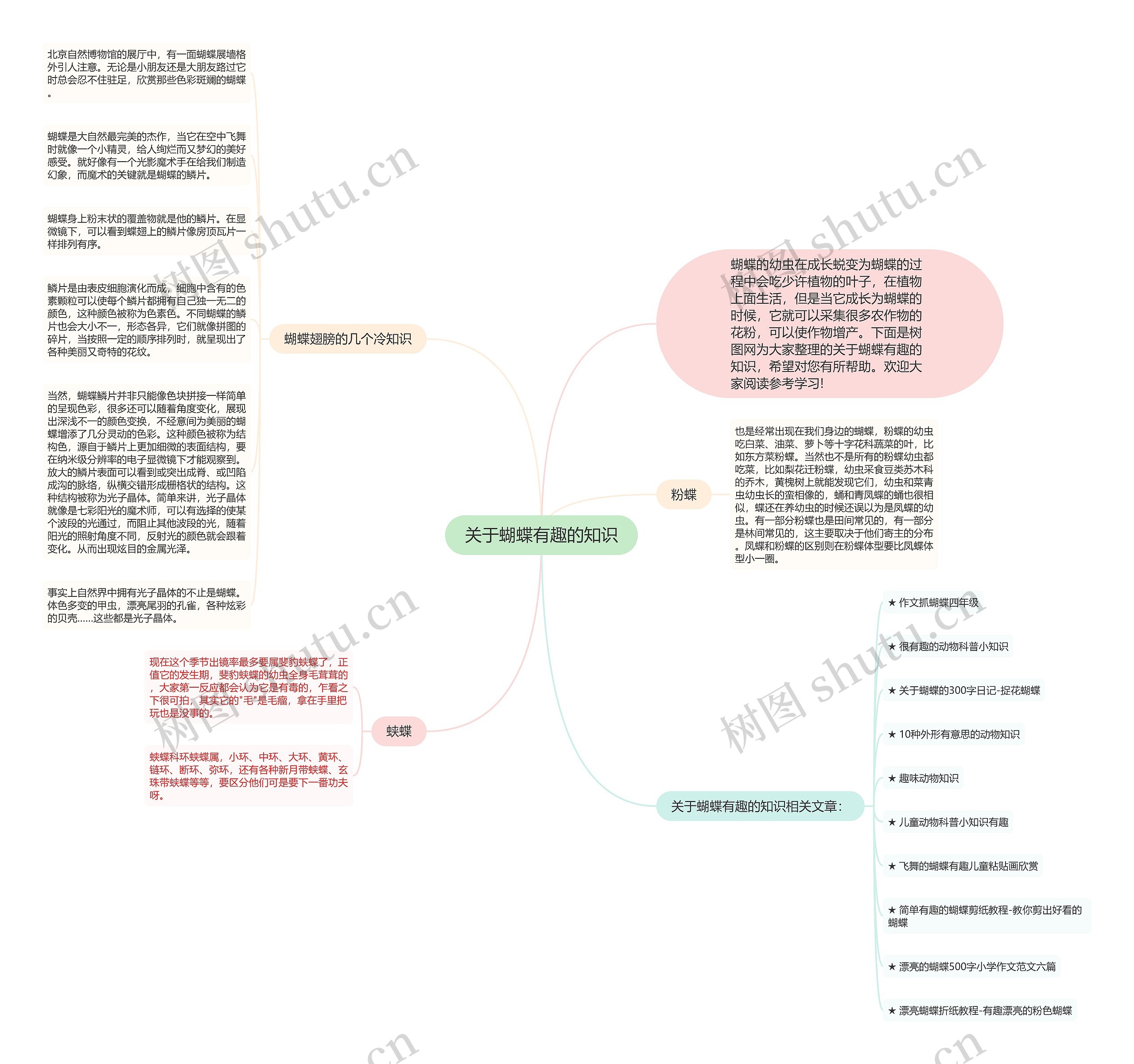 关于蝴蝶有趣的知识思维导图