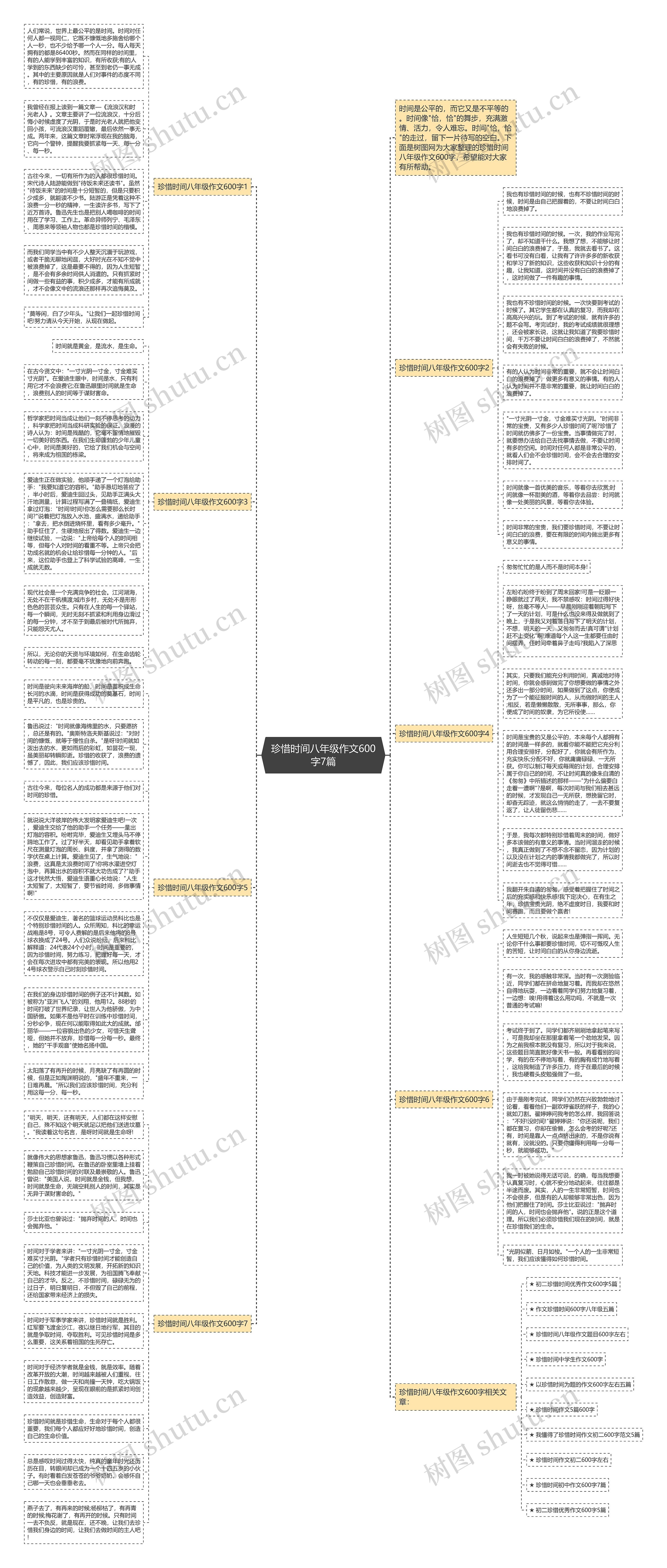 珍惜时间八年级作文600字7篇思维导图