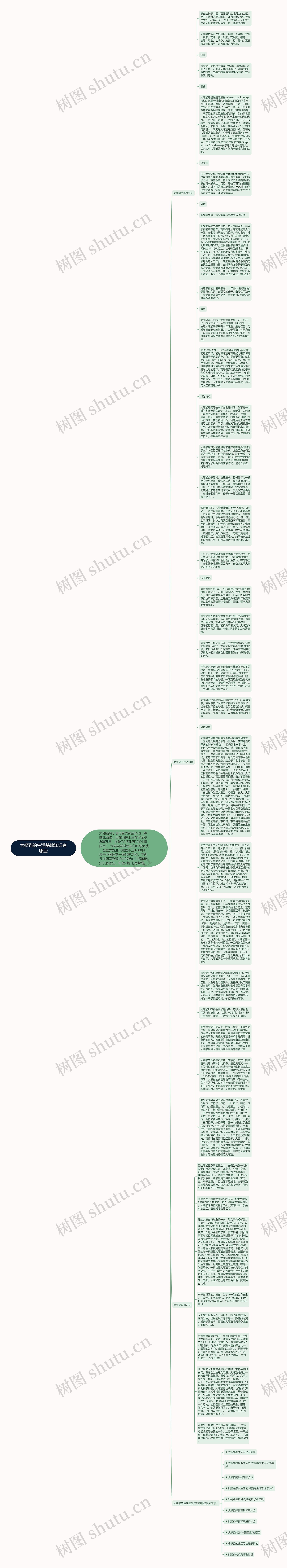 大熊猫的生活基础知识有哪些思维导图