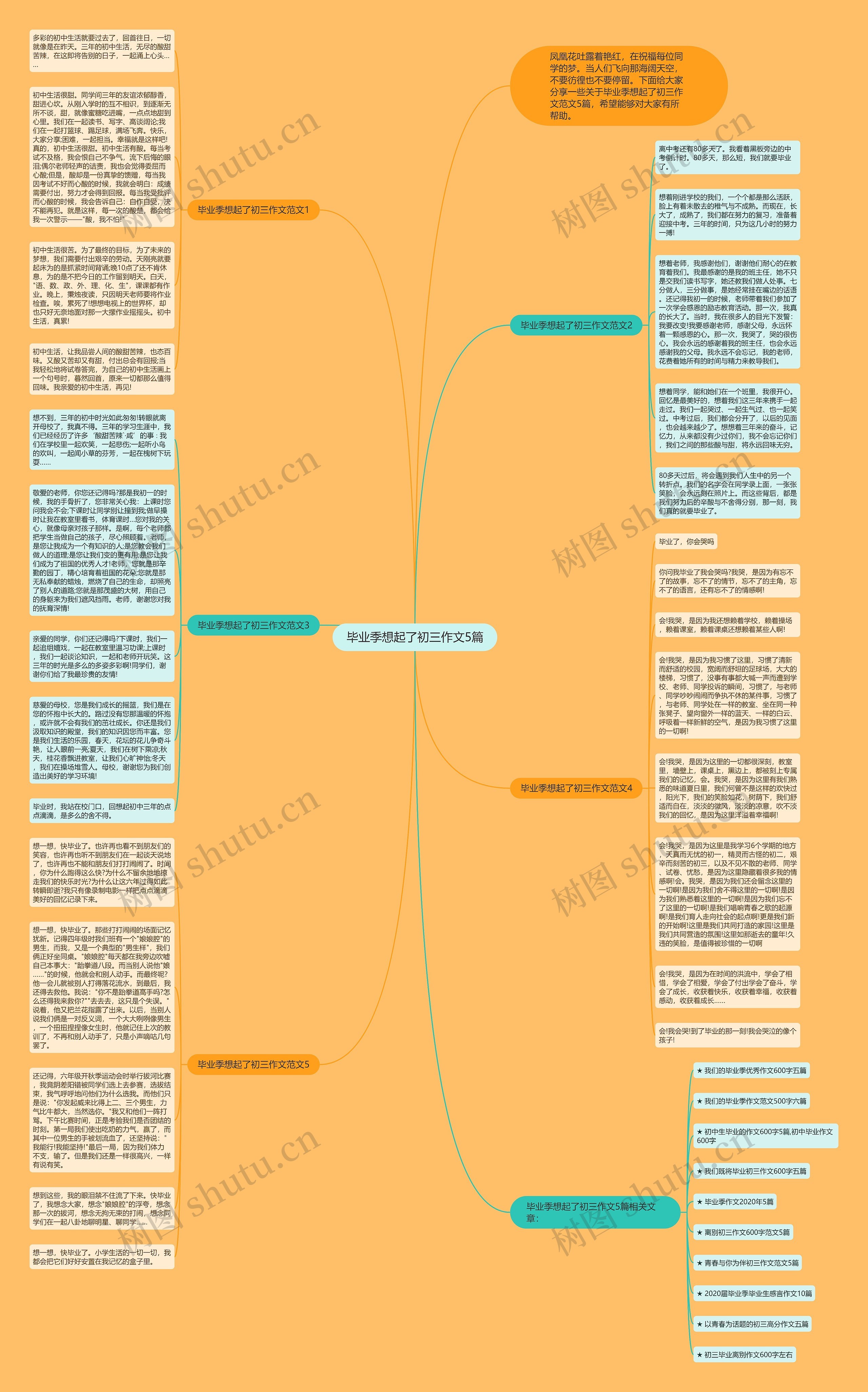 毕业季想起了初三作文5篇思维导图