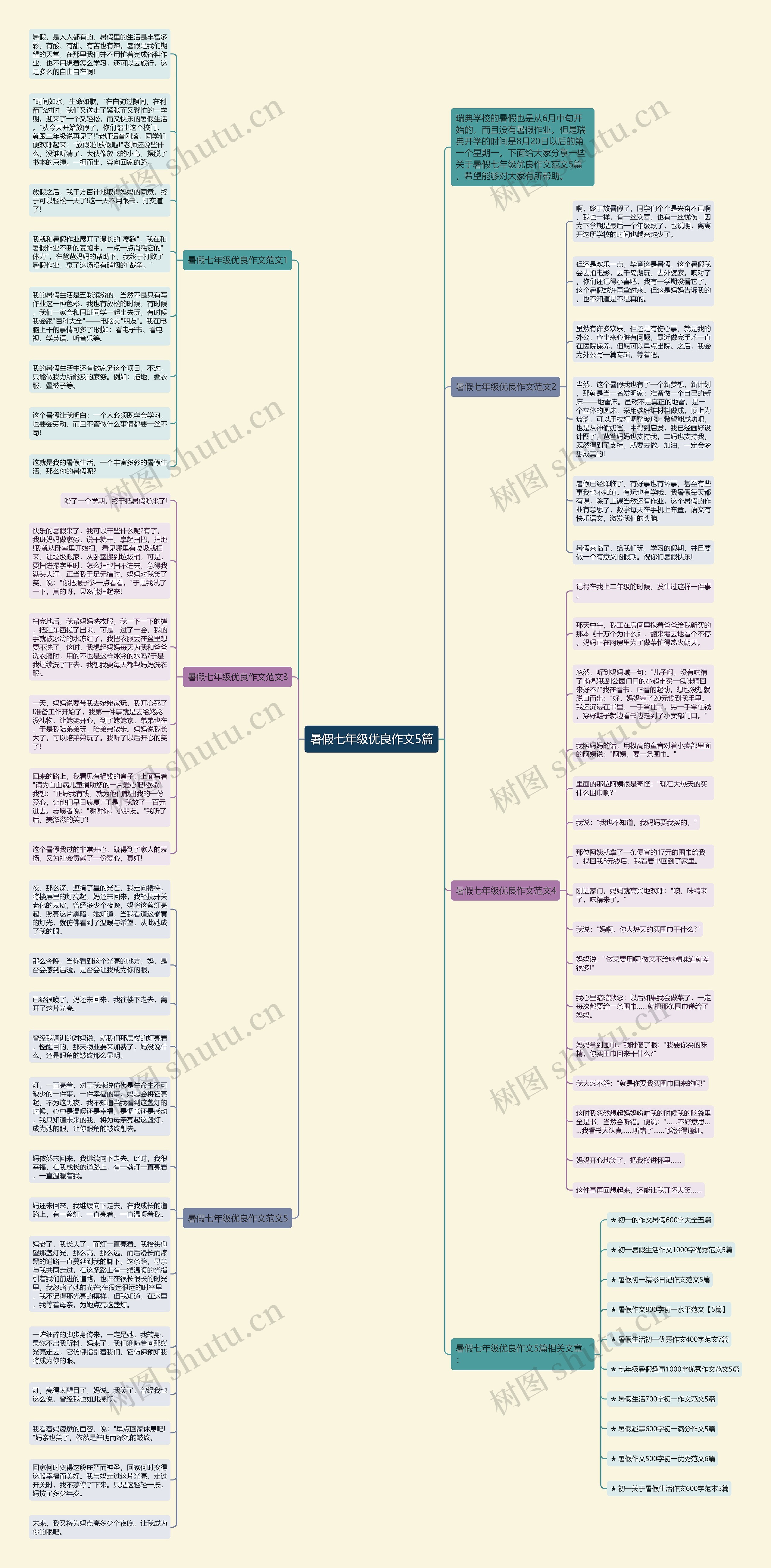 暑假七年级优良作文5篇思维导图