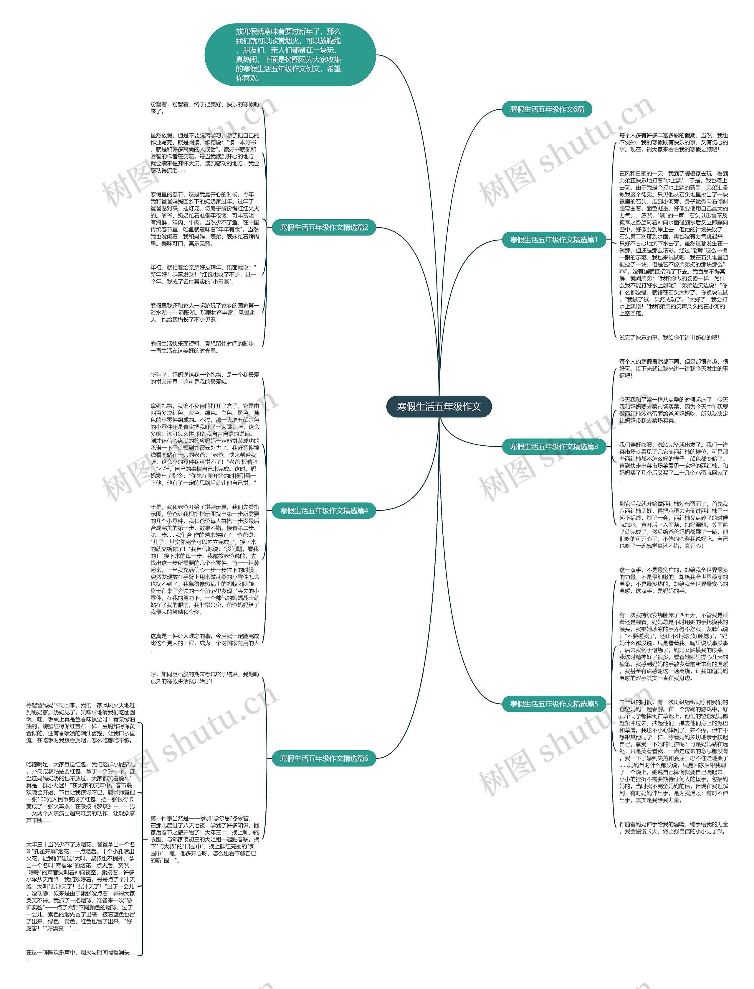 寒假生活五年级作文思维导图