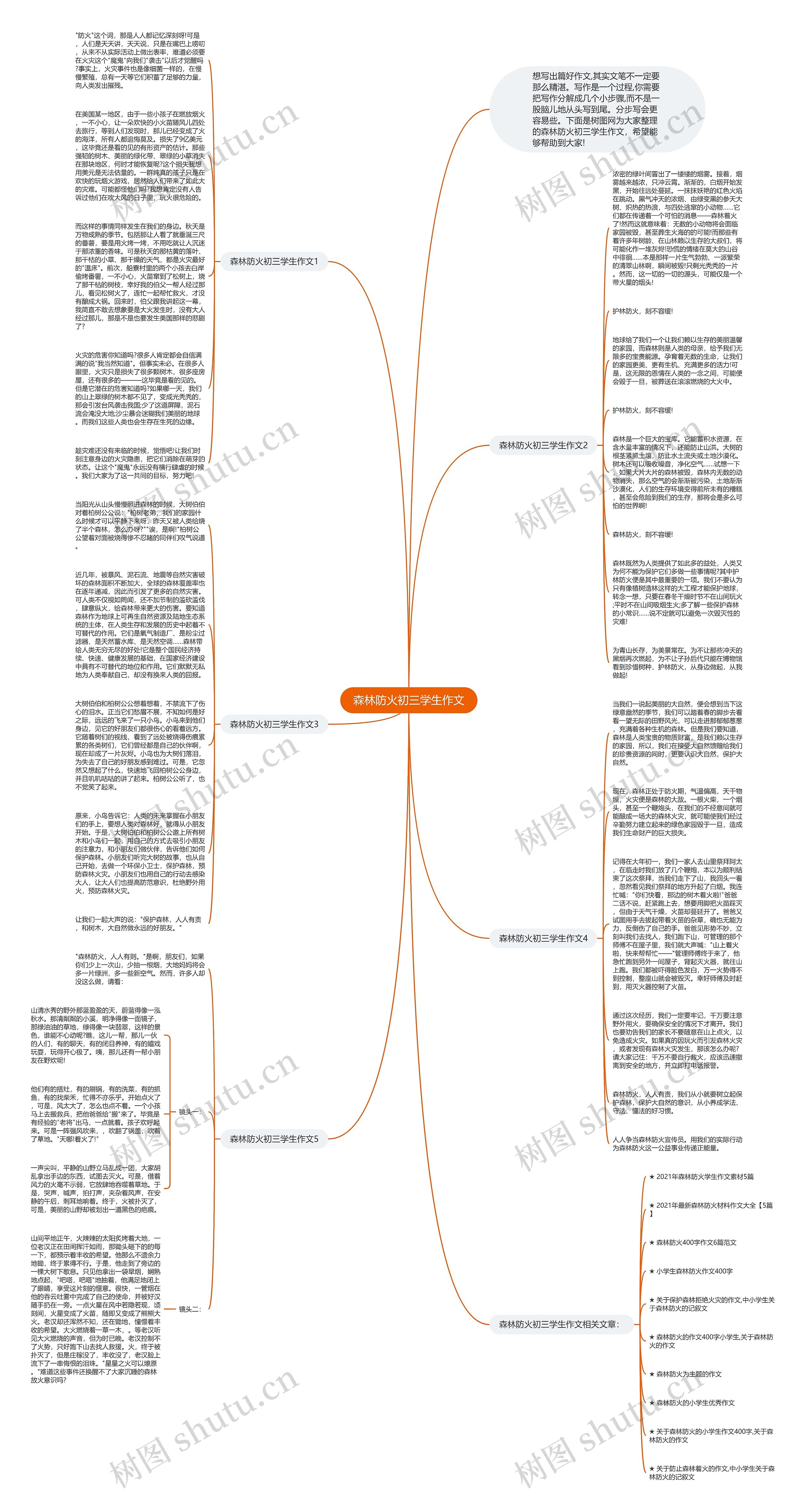 森林防火初三学生作文思维导图