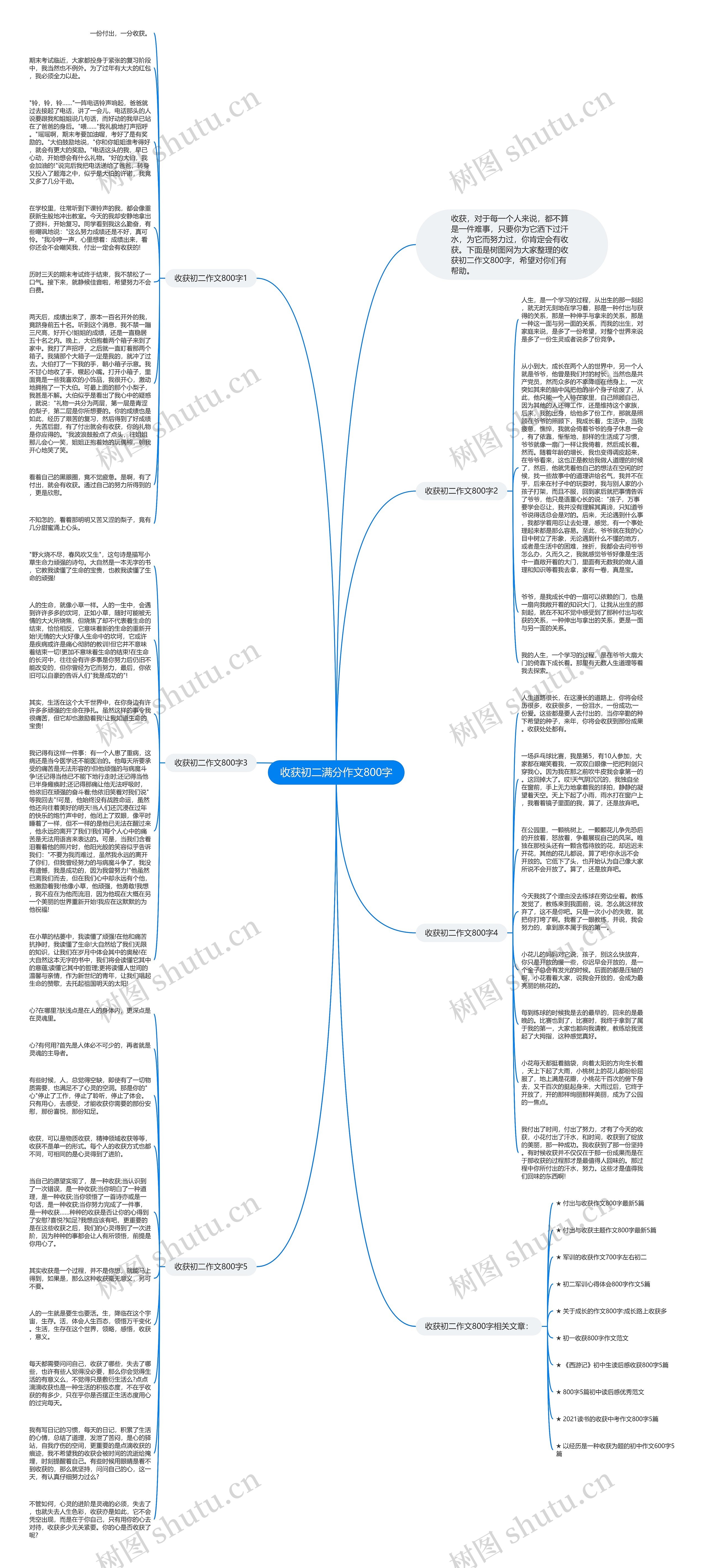 收获初二满分作文800字思维导图