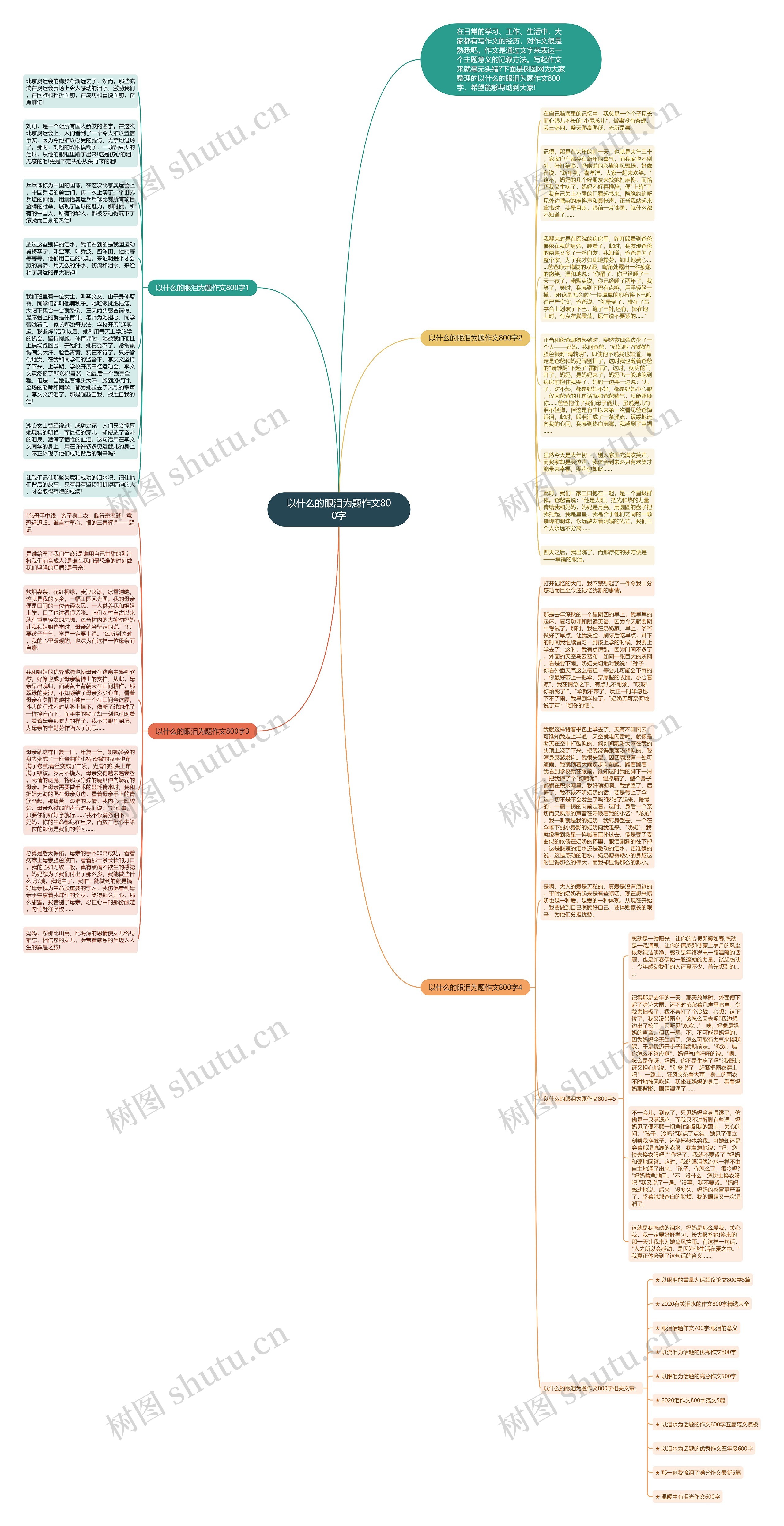 以什么的眼泪为题作文800字思维导图