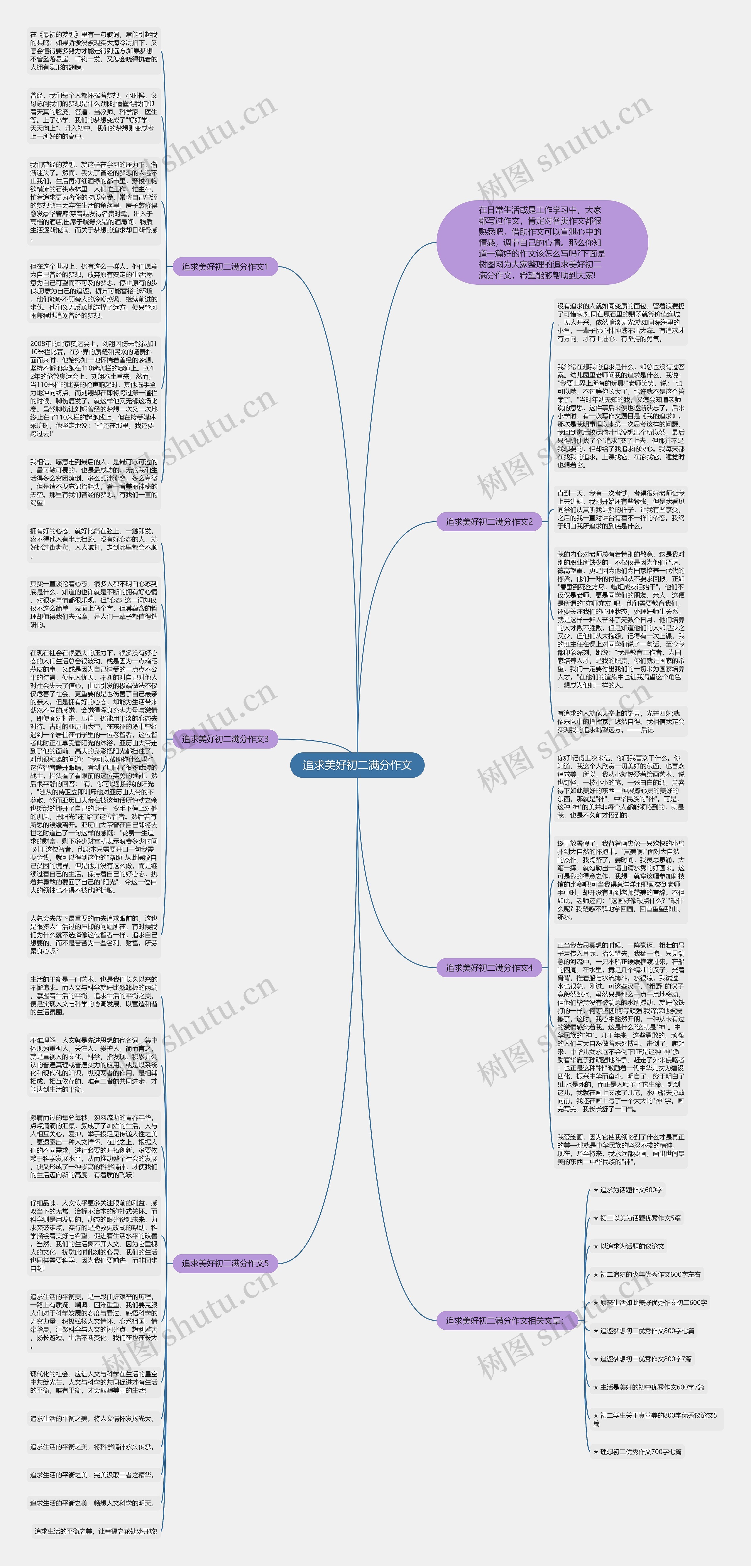 追求美好初二满分作文思维导图