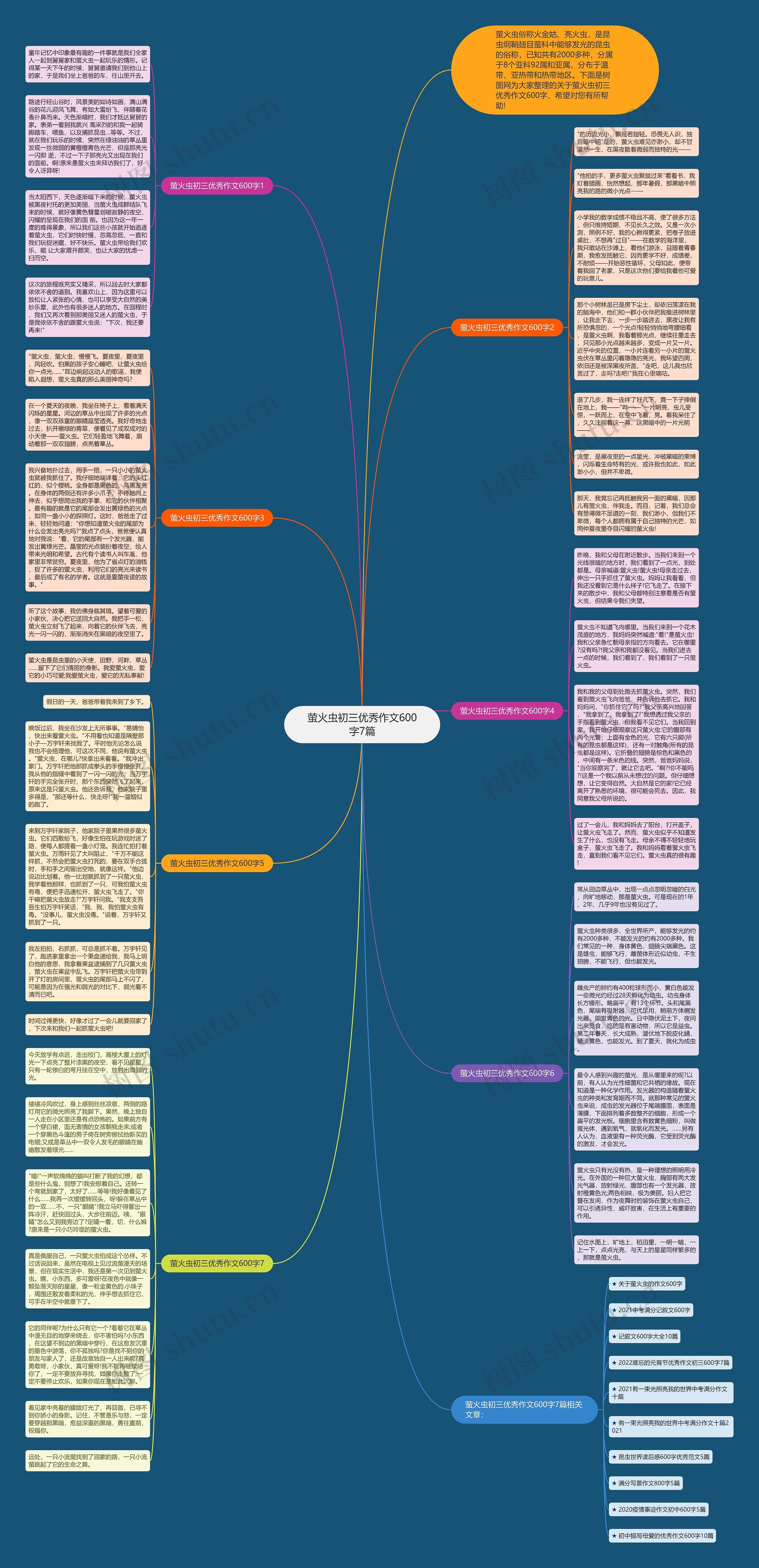 萤火虫初三优秀作文600字7篇思维导图