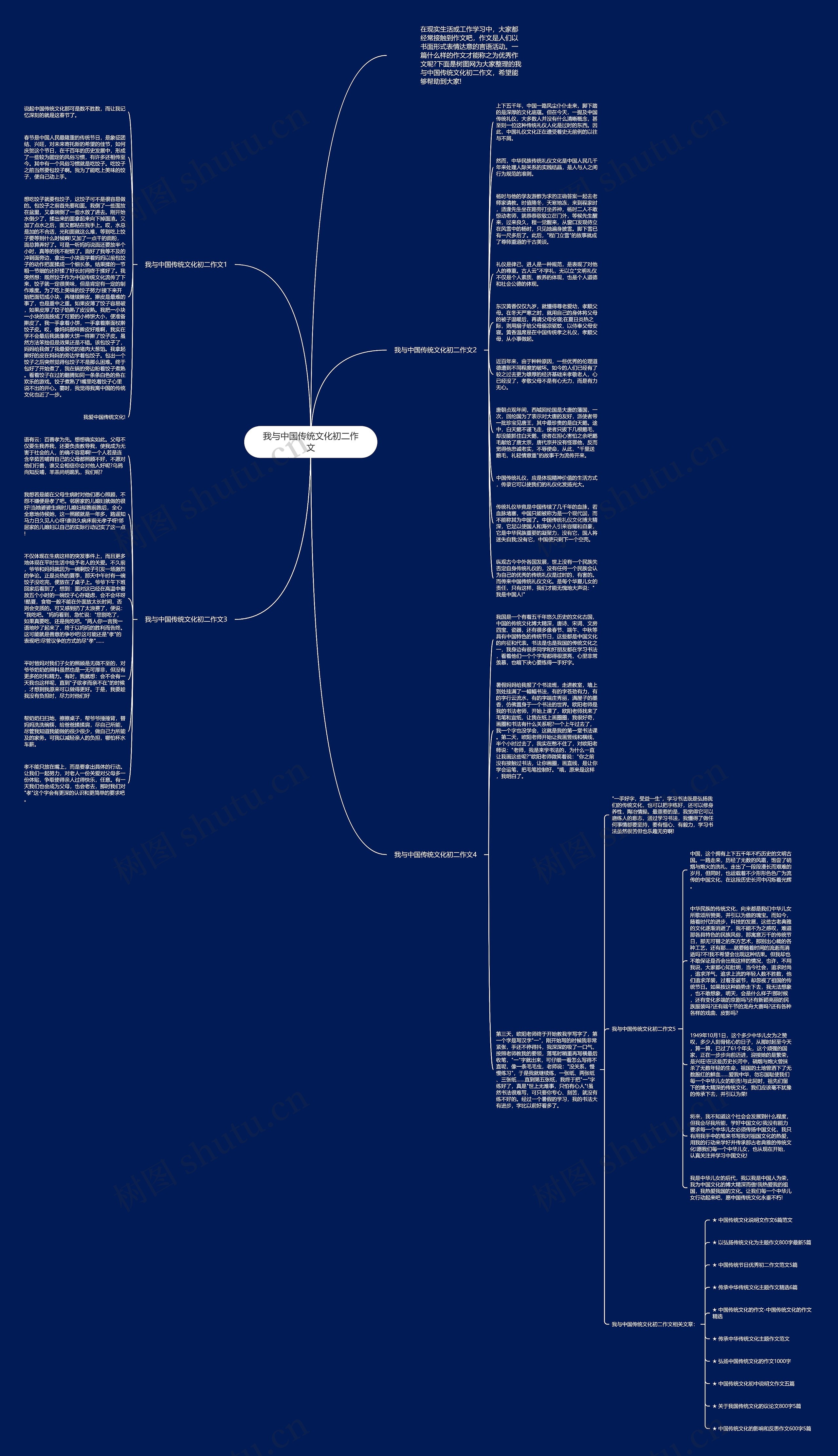 我与中国传统文化初二作文思维导图