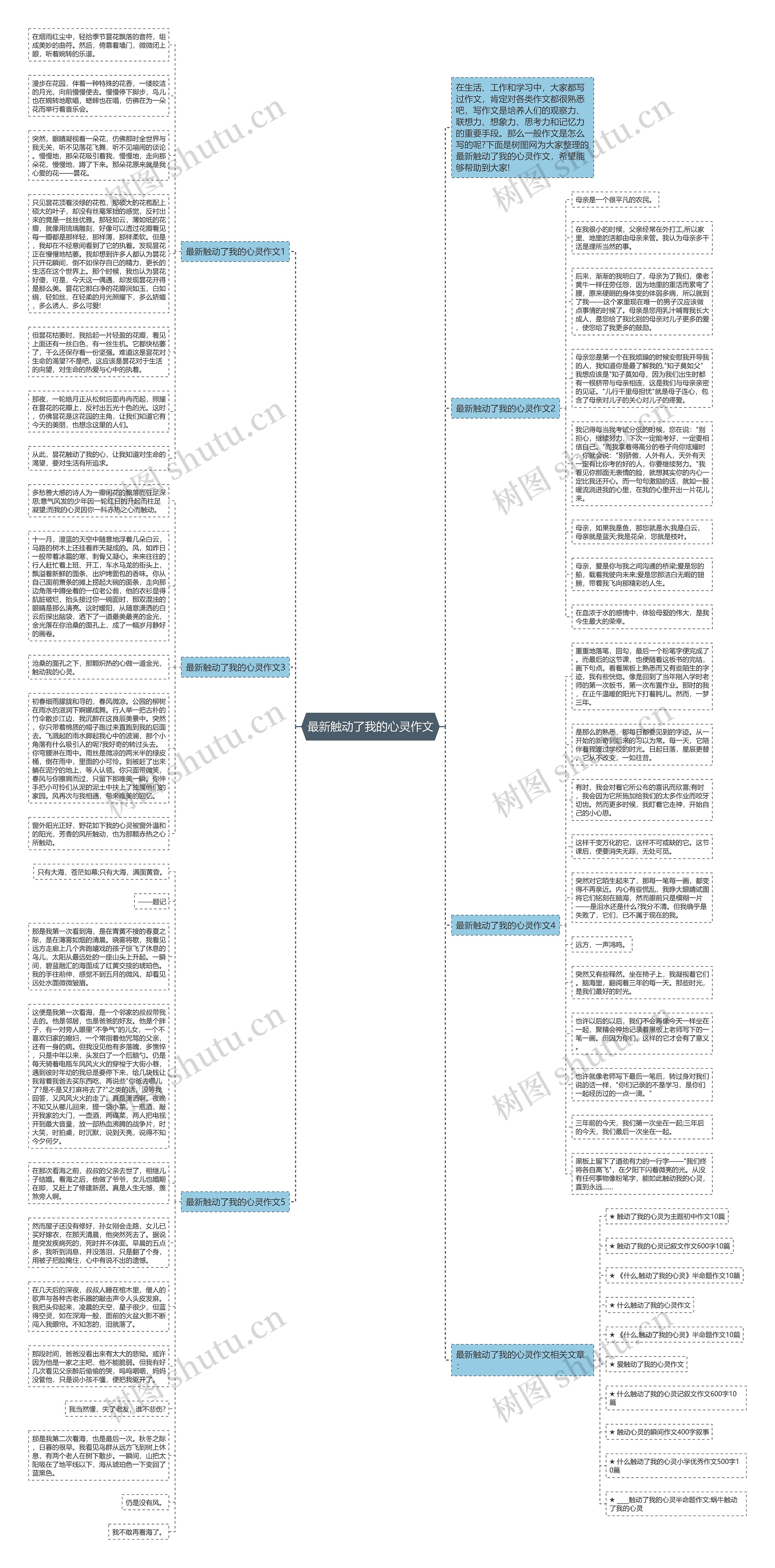 最新触动了我的心灵作文思维导图