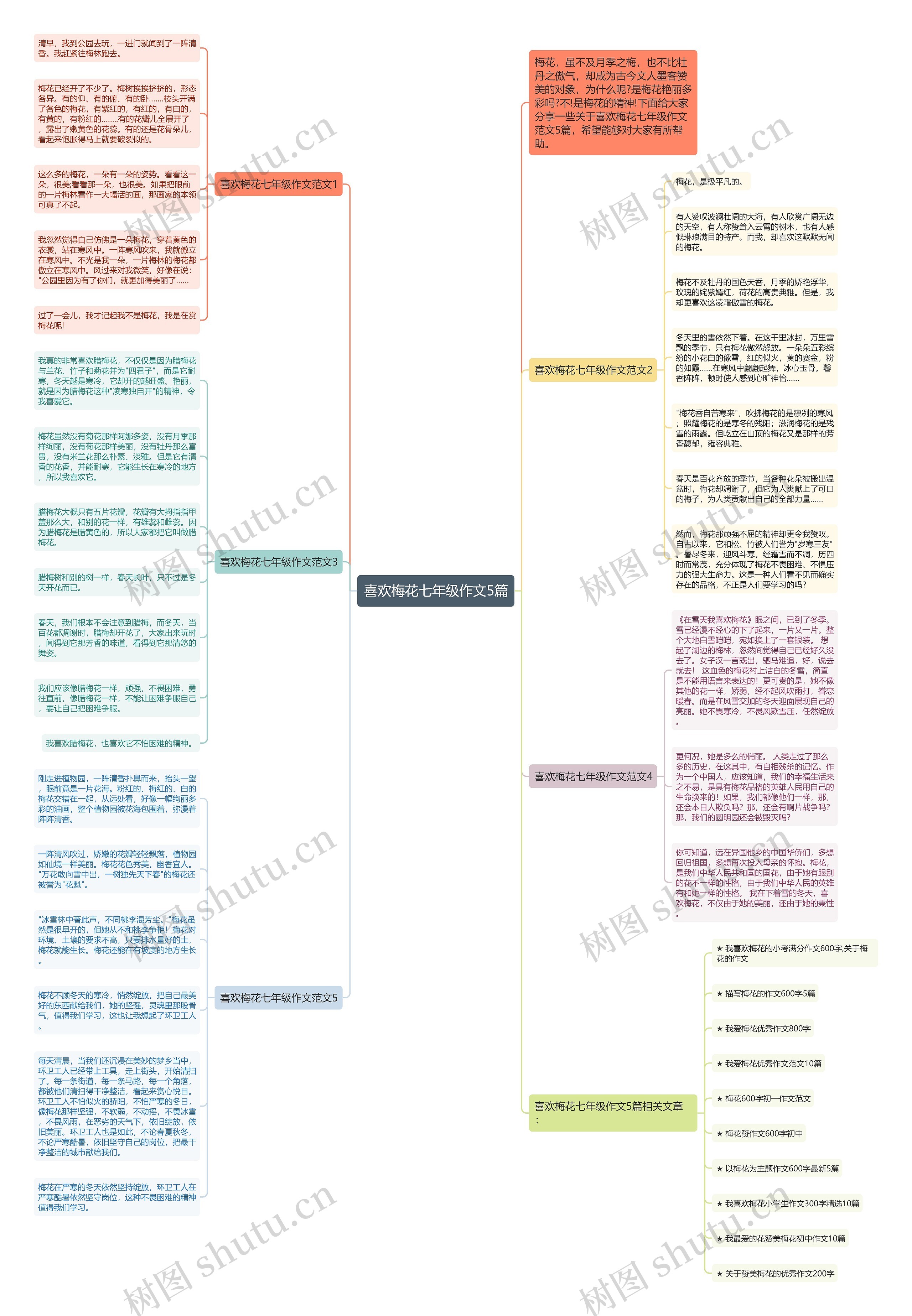喜欢梅花七年级作文5篇思维导图