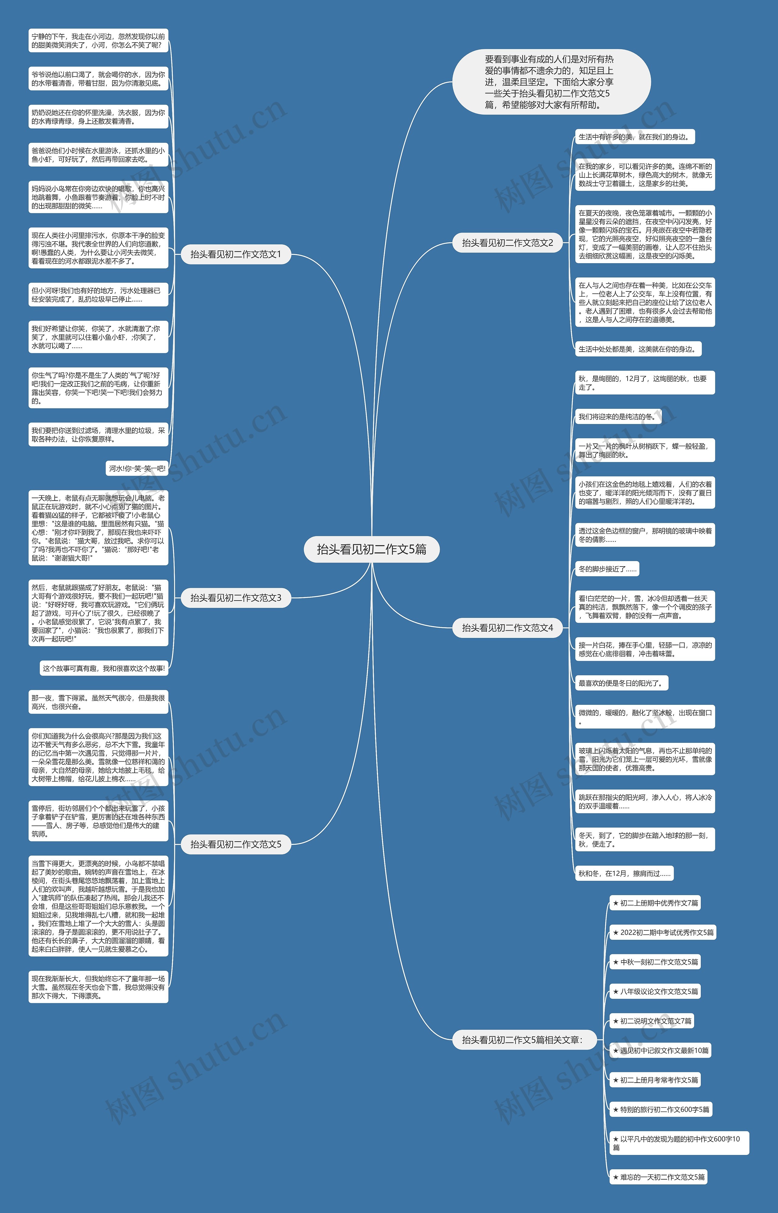 抬头看见初二作文5篇思维导图