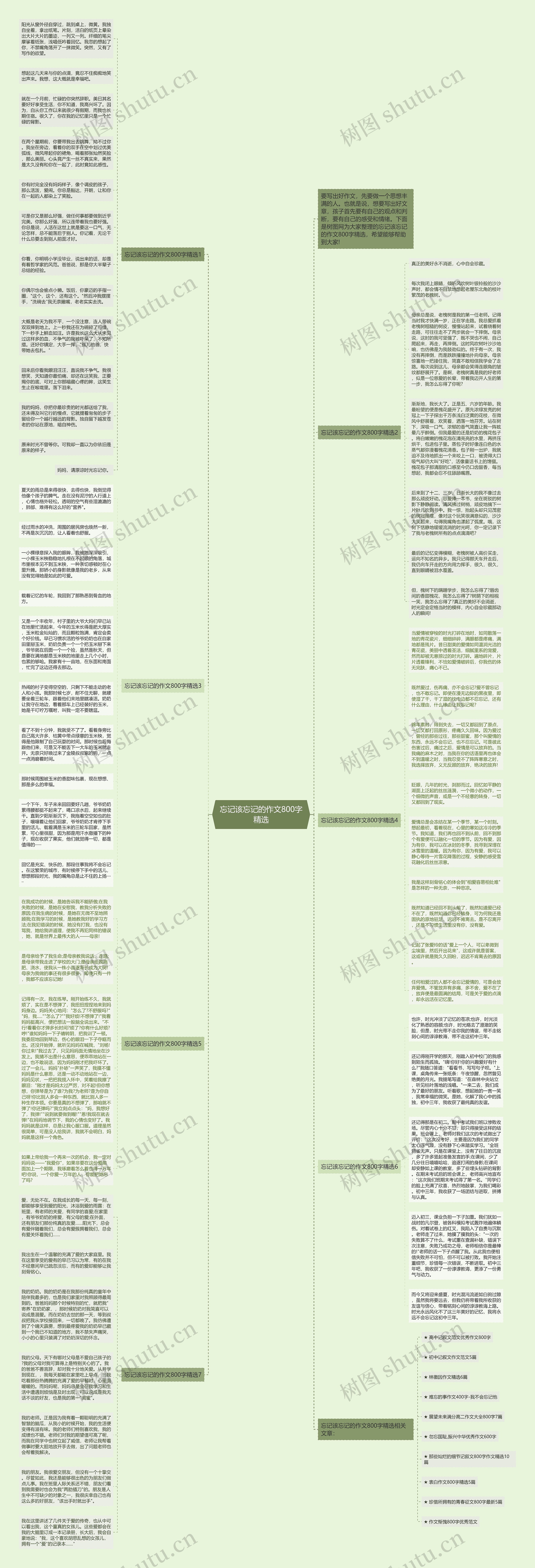 忘记该忘记的作文800字精选思维导图
