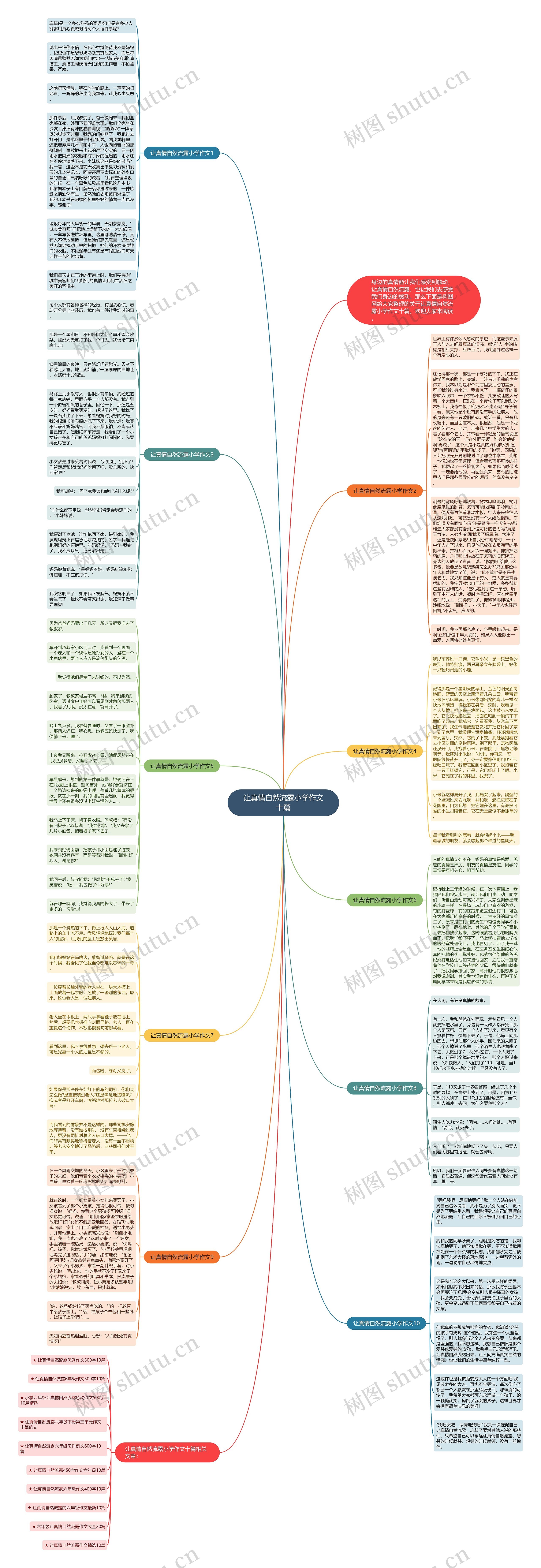 让真情自然流露小学作文十篇思维导图