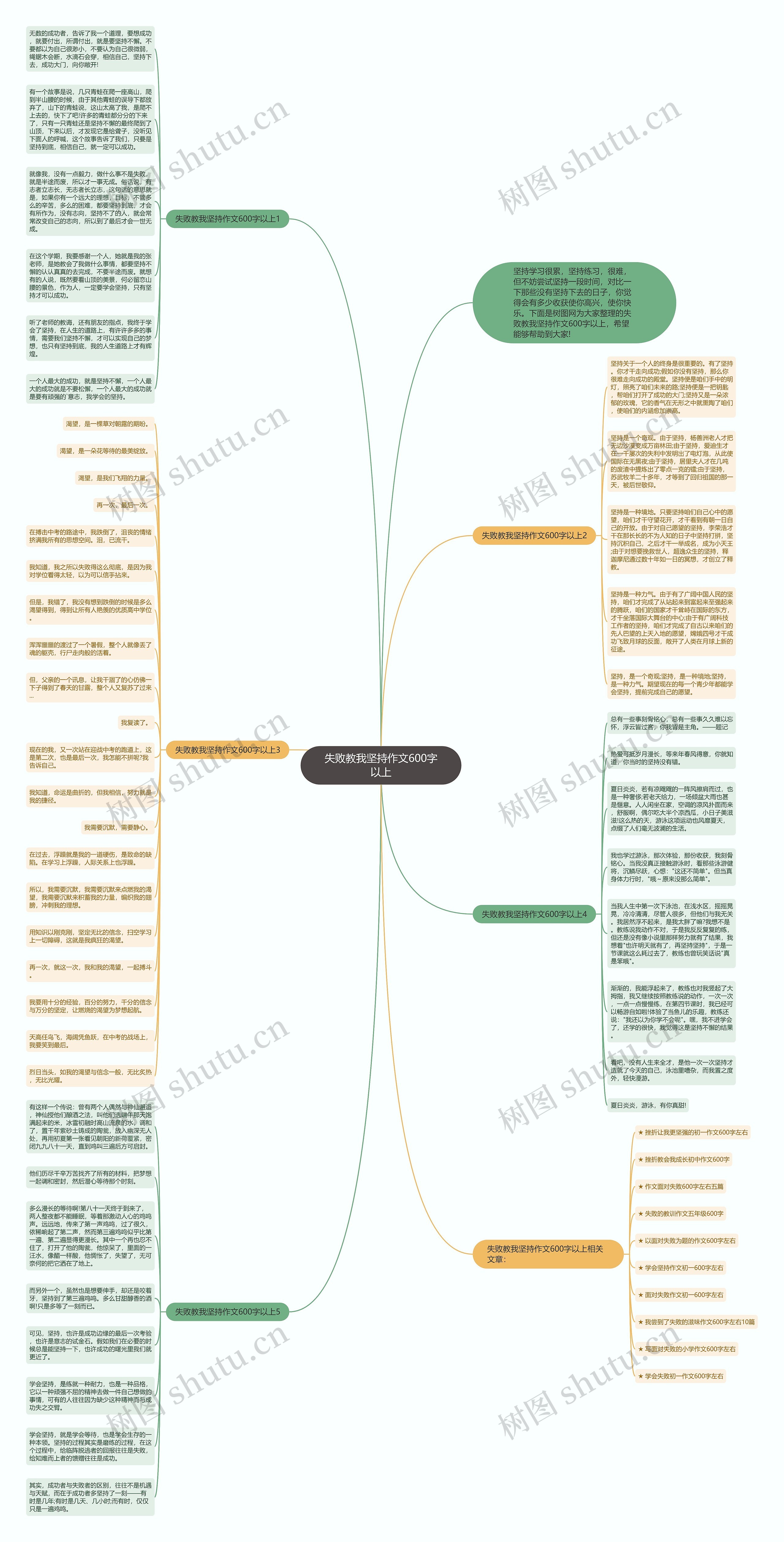 失败教我坚持作文600字以上思维导图