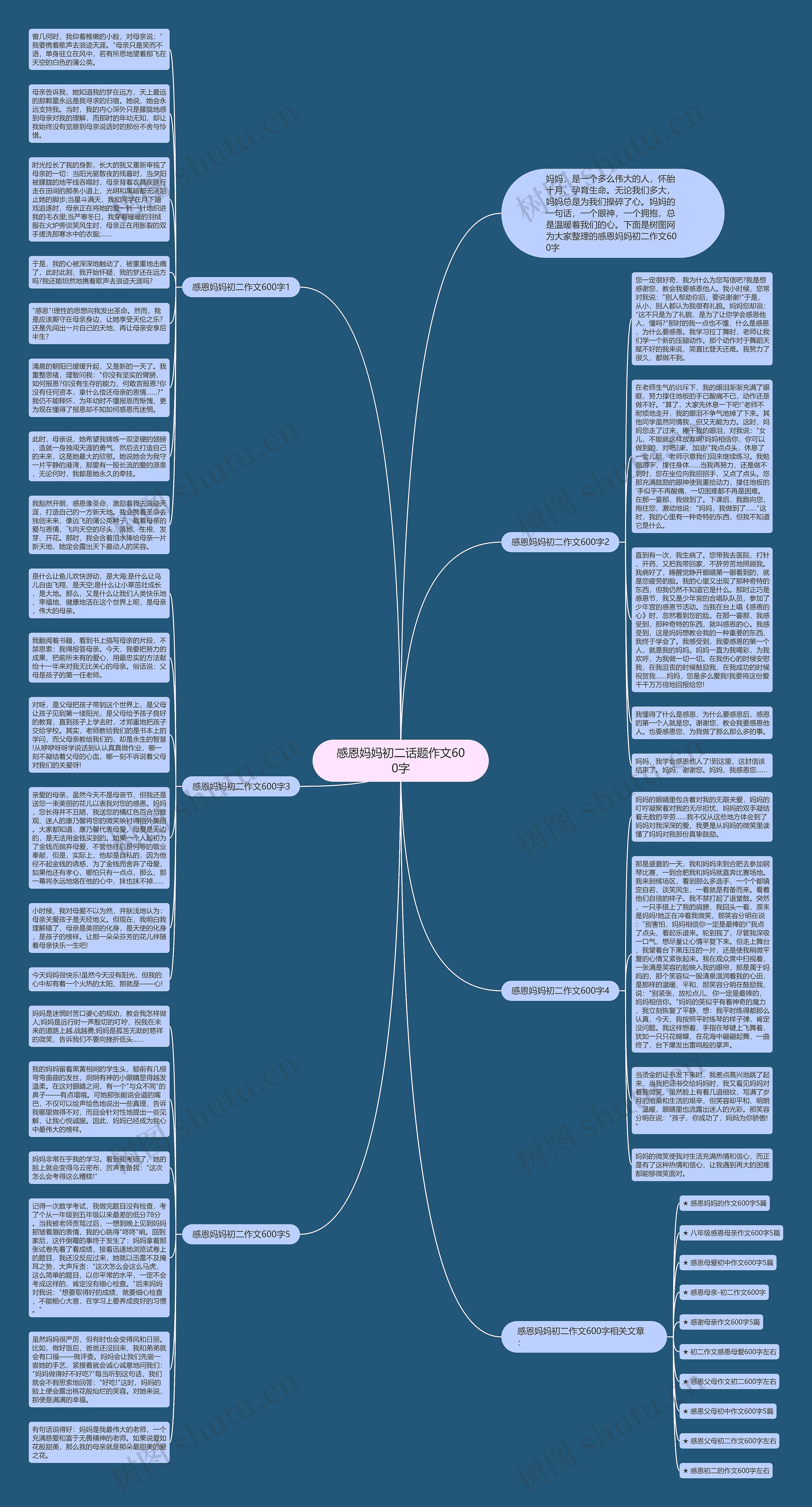 感恩妈妈初二话题作文600字思维导图
