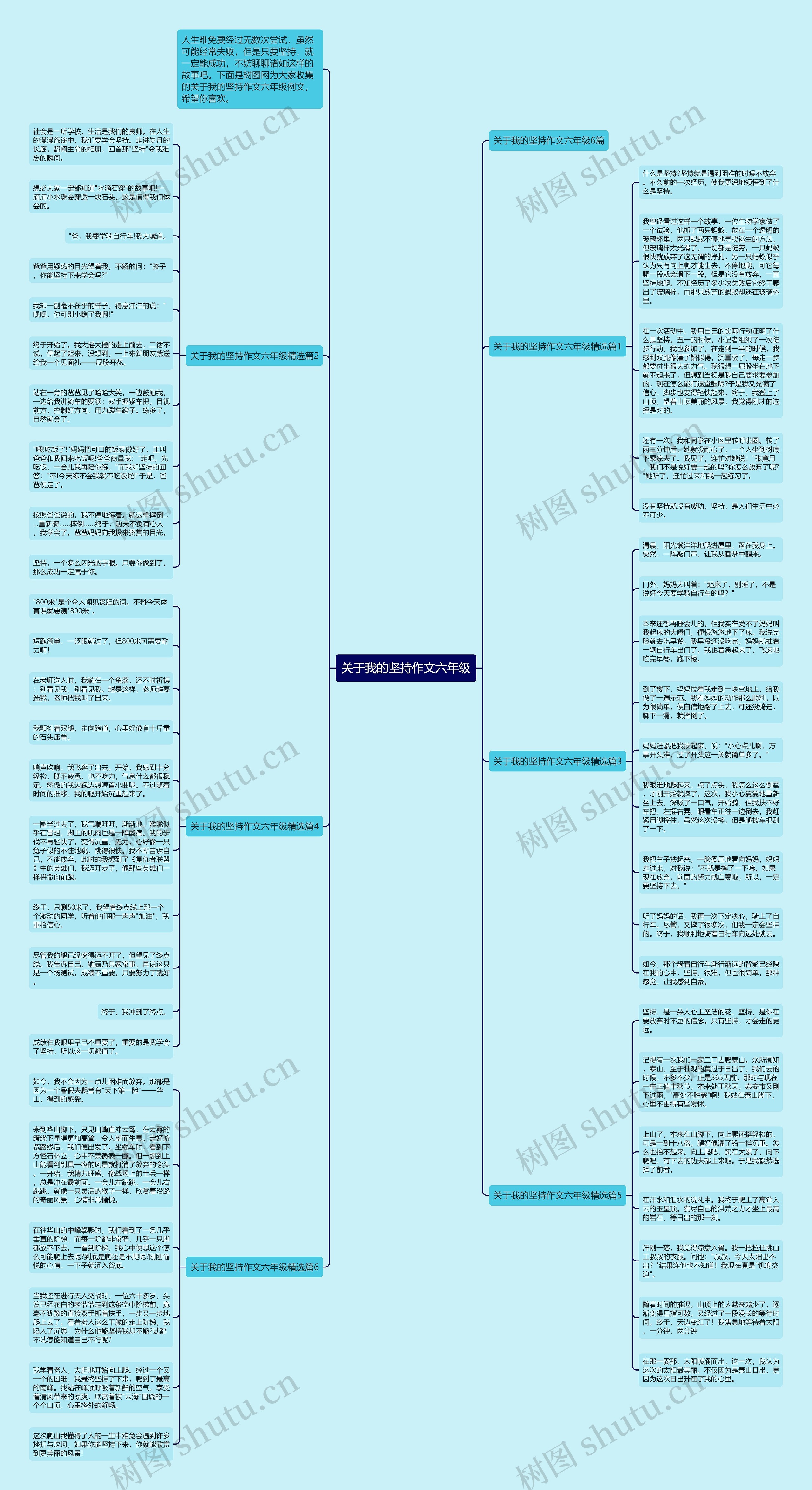 关于我的坚持作文六年级思维导图