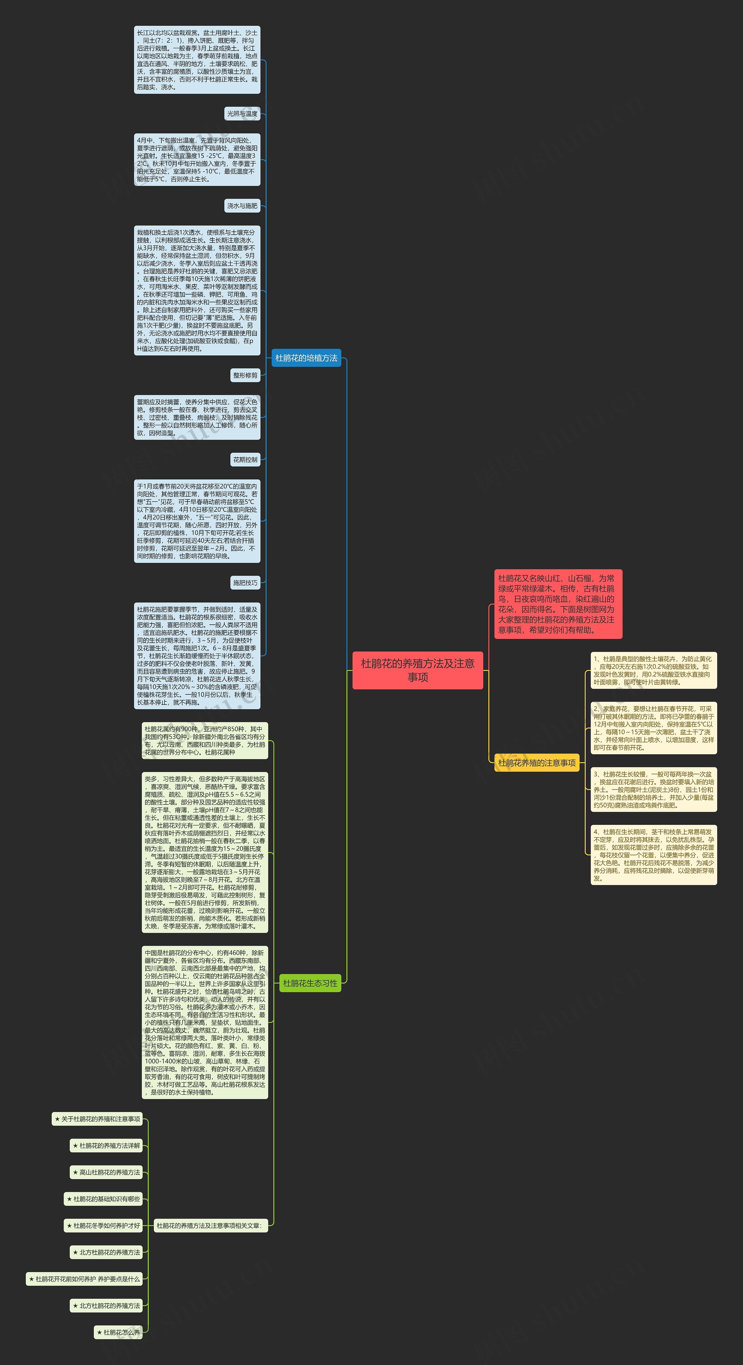 杜鹃花的养殖方法及注意事项思维导图