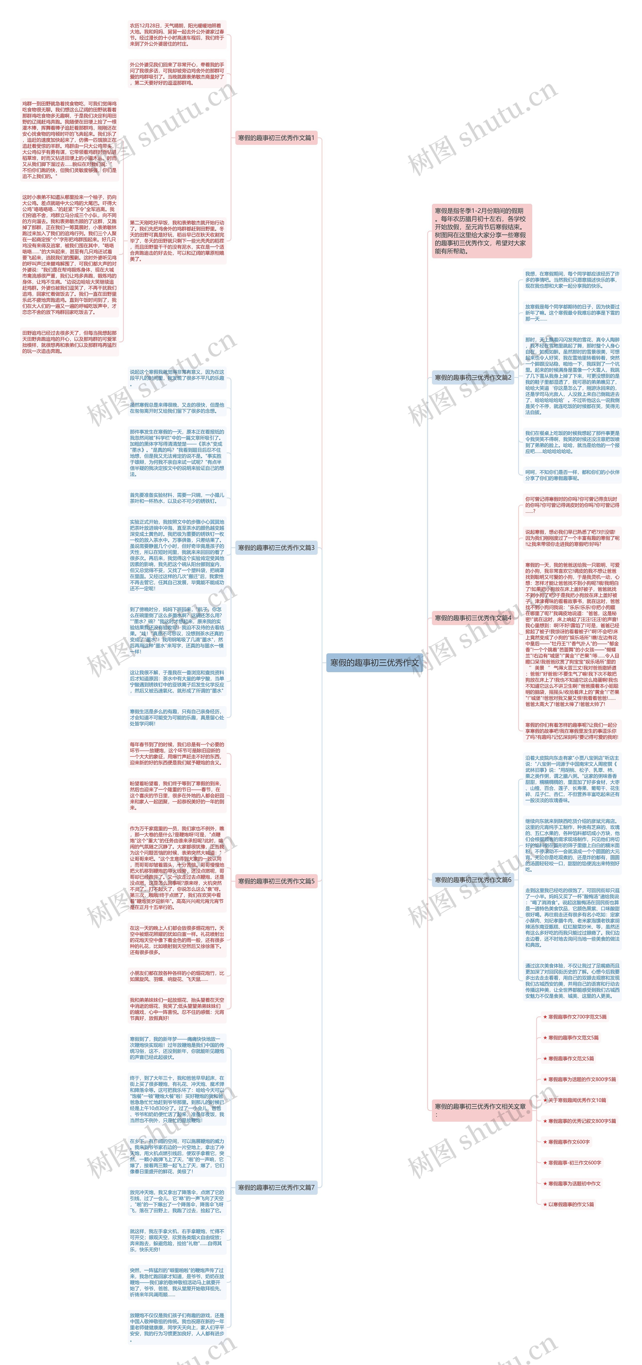 寒假的趣事初三优秀作文思维导图