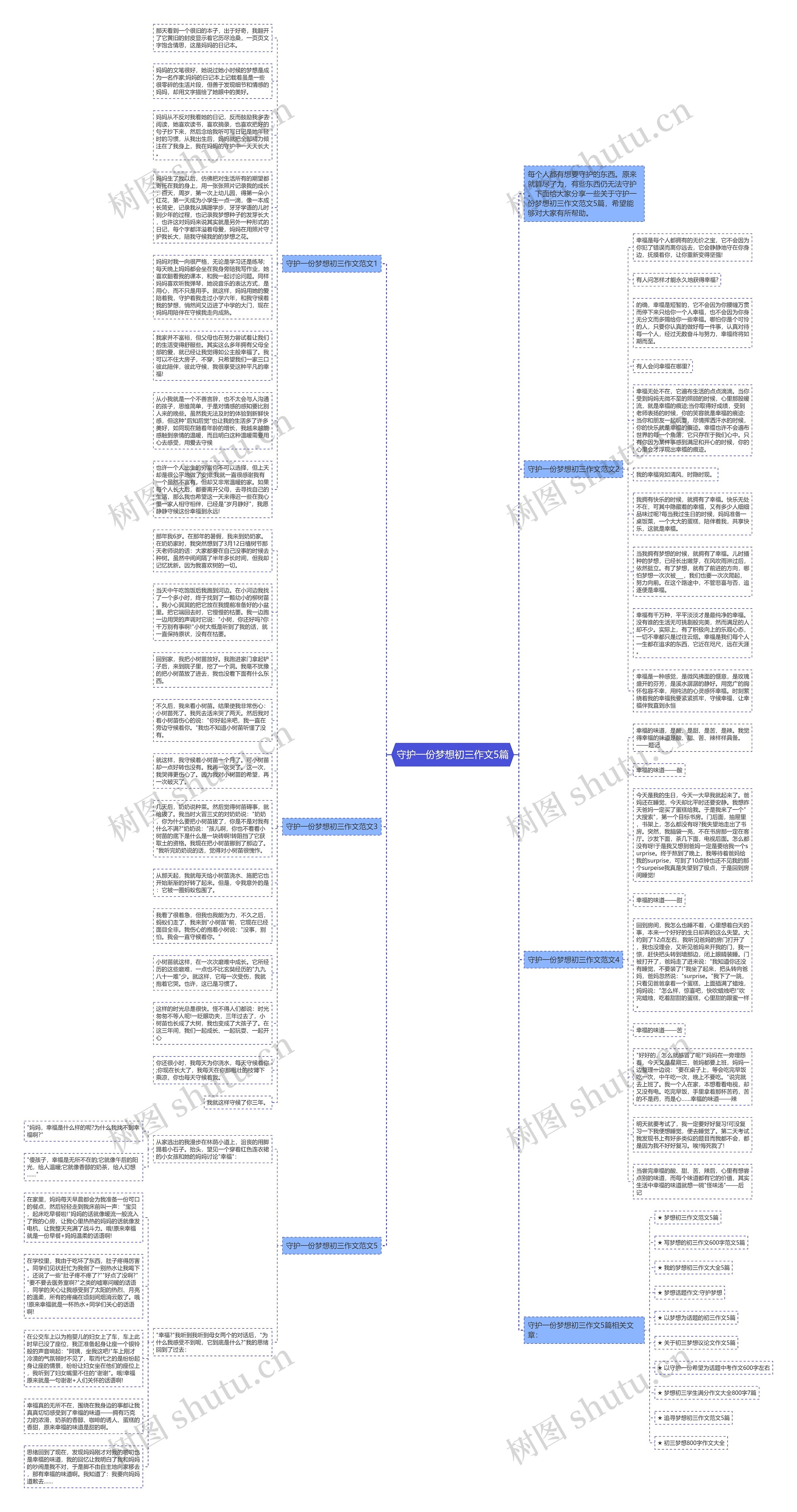 守护一份梦想初三作文5篇思维导图