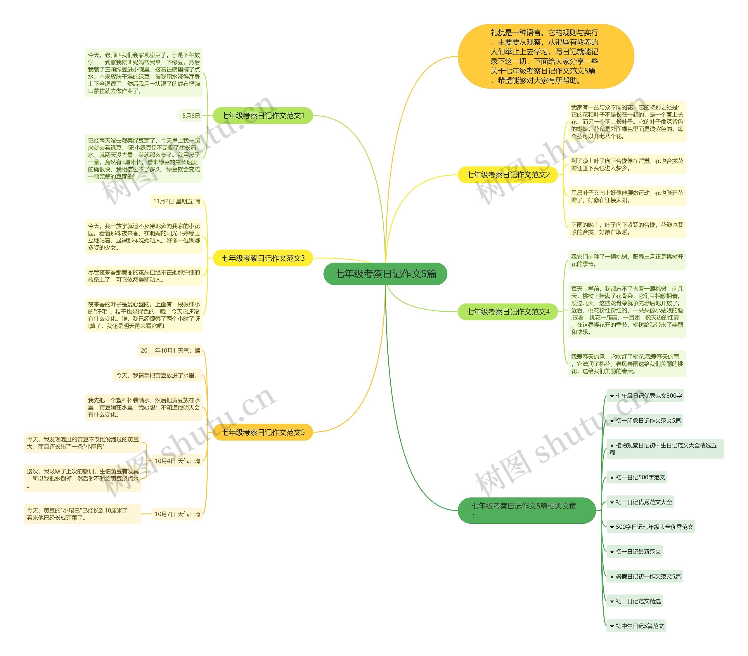 七年级考察日记作文5篇思维导图