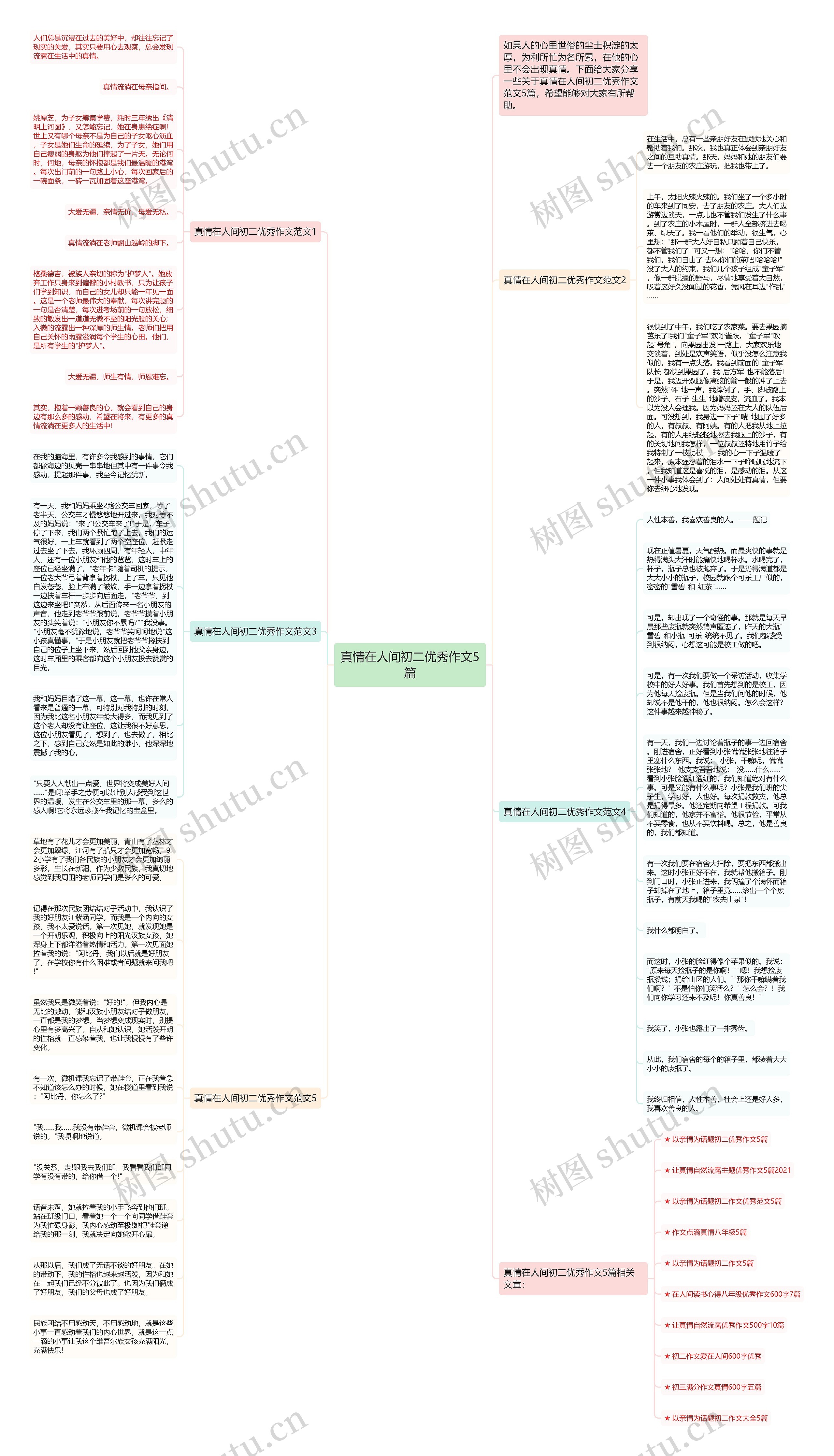 真情在人间初二优秀作文5篇思维导图