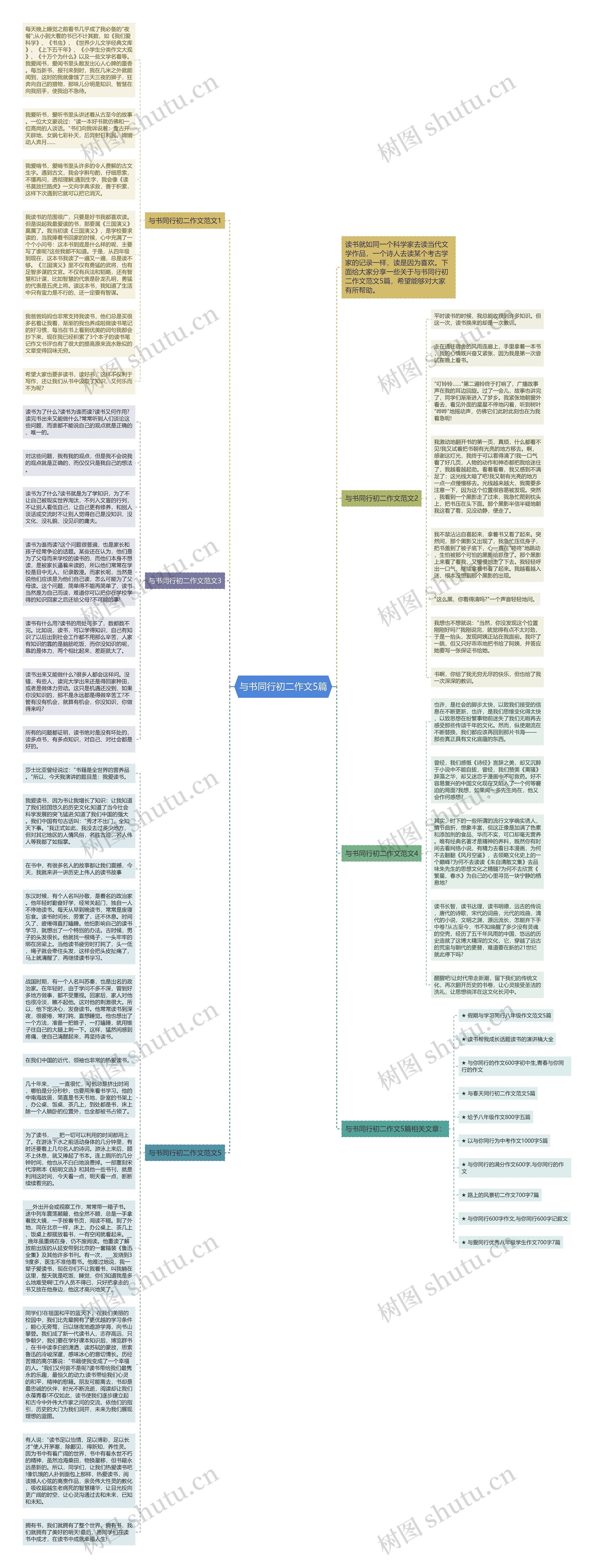 与书同行初二作文5篇思维导图
