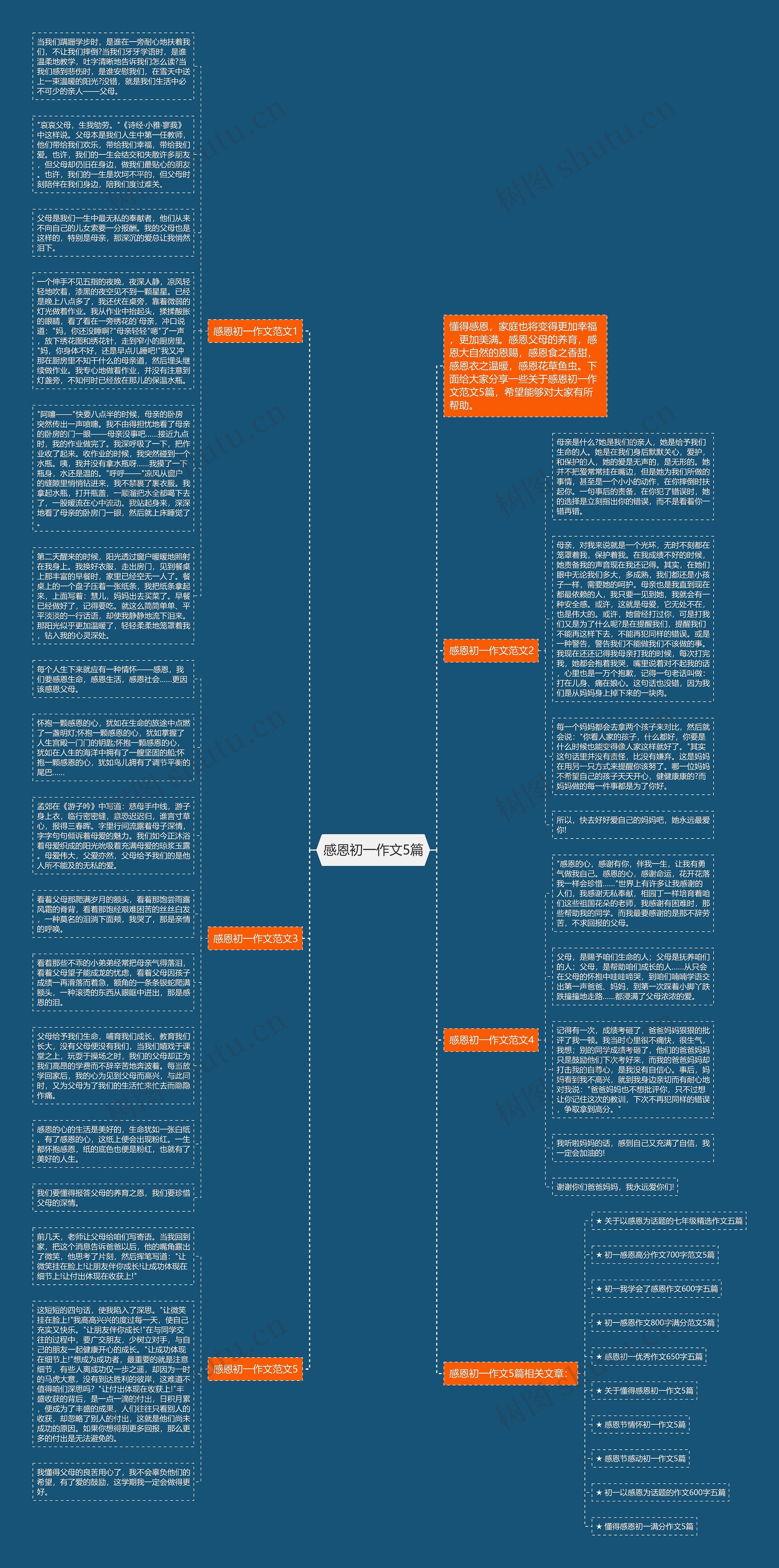感恩初一作文5篇思维导图