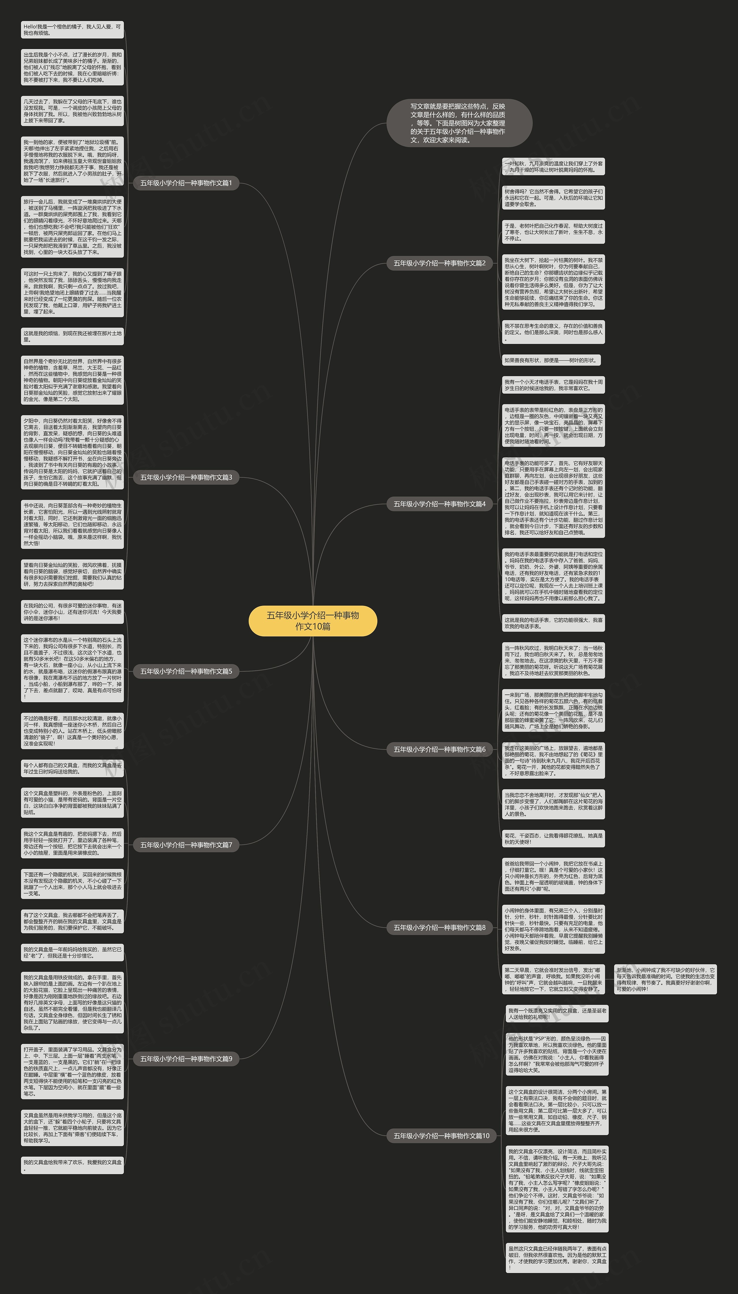 五年级小学介绍一种事物作文10篇思维导图