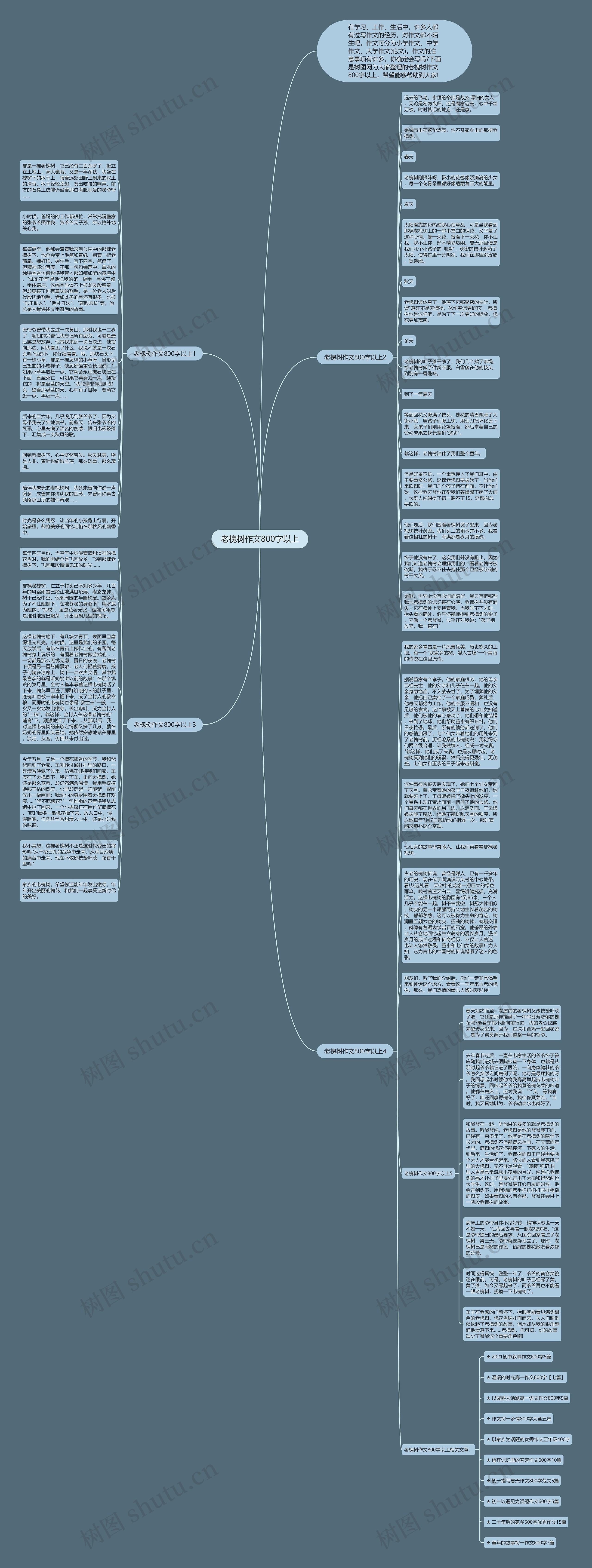 老槐树作文800字以上思维导图