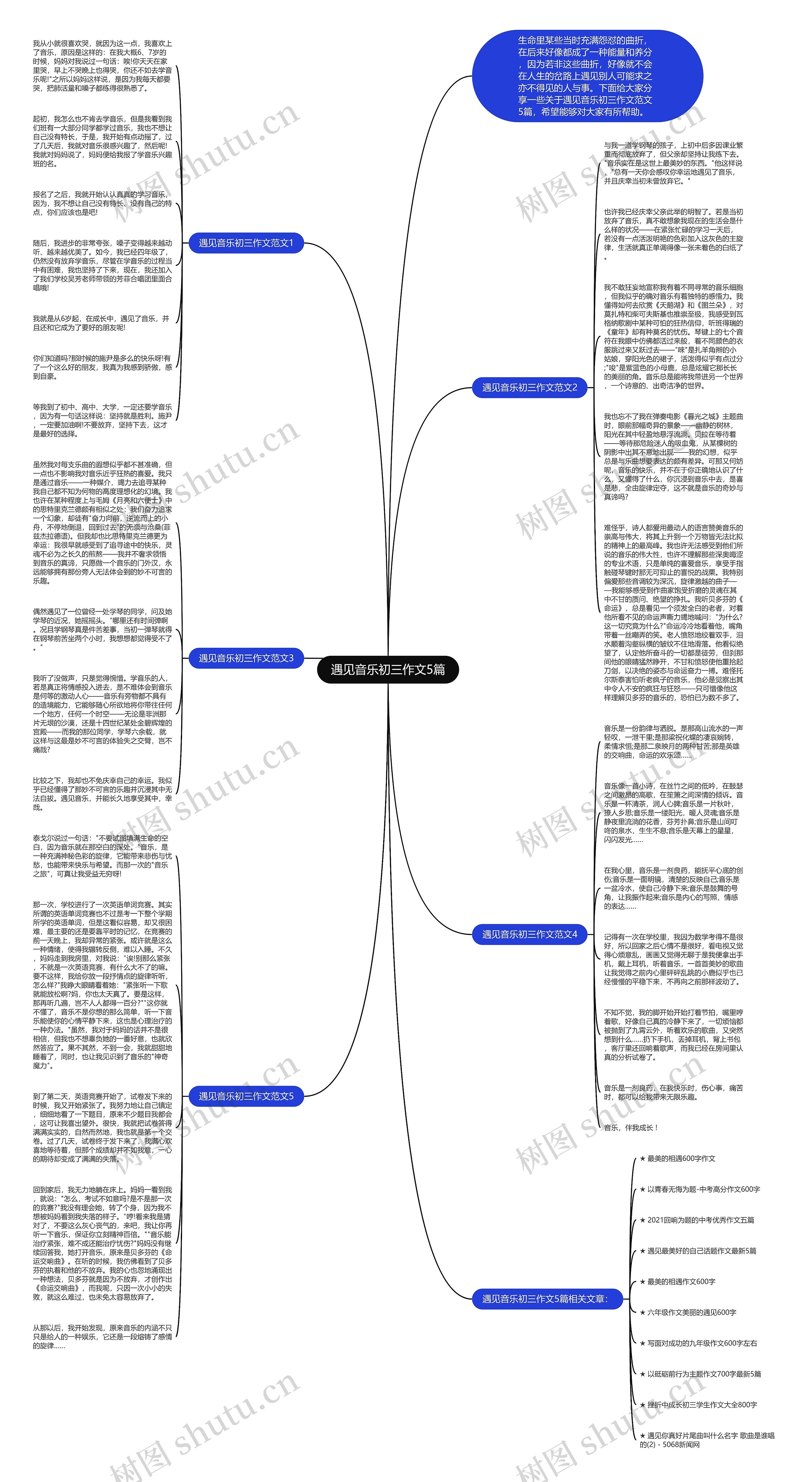 遇见音乐初三作文5篇思维导图