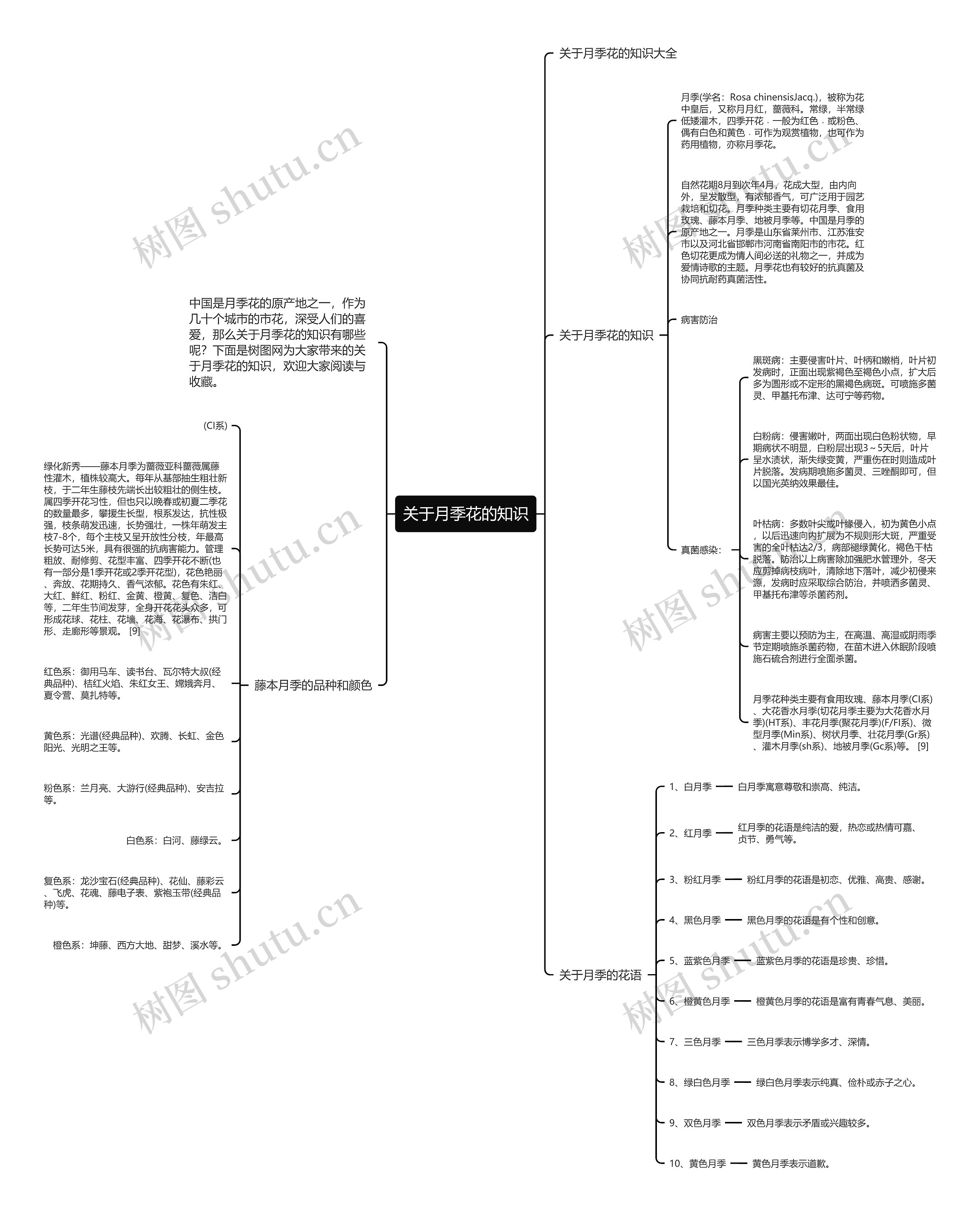 关于月季花的知识思维导图
