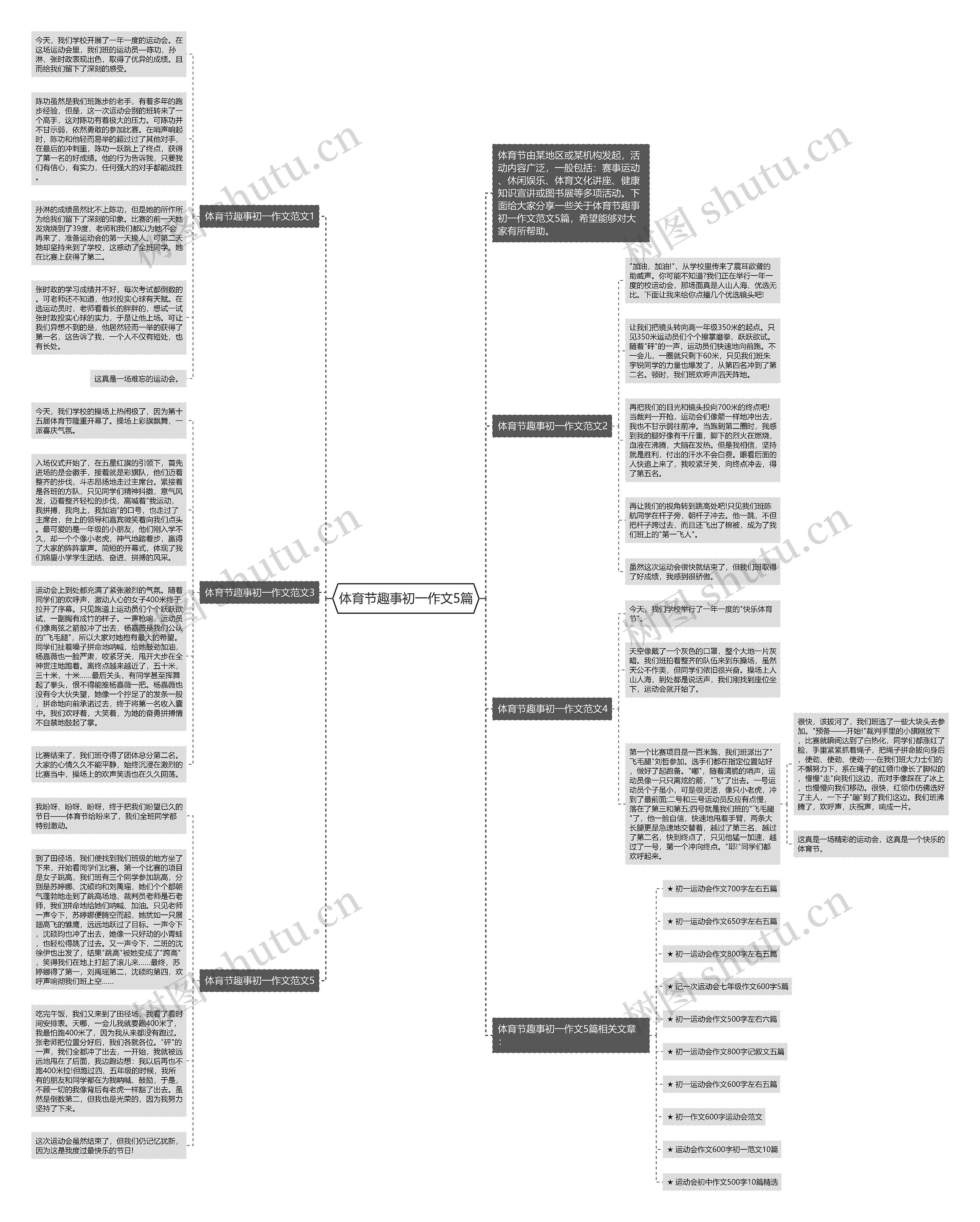体育节趣事初一作文5篇思维导图