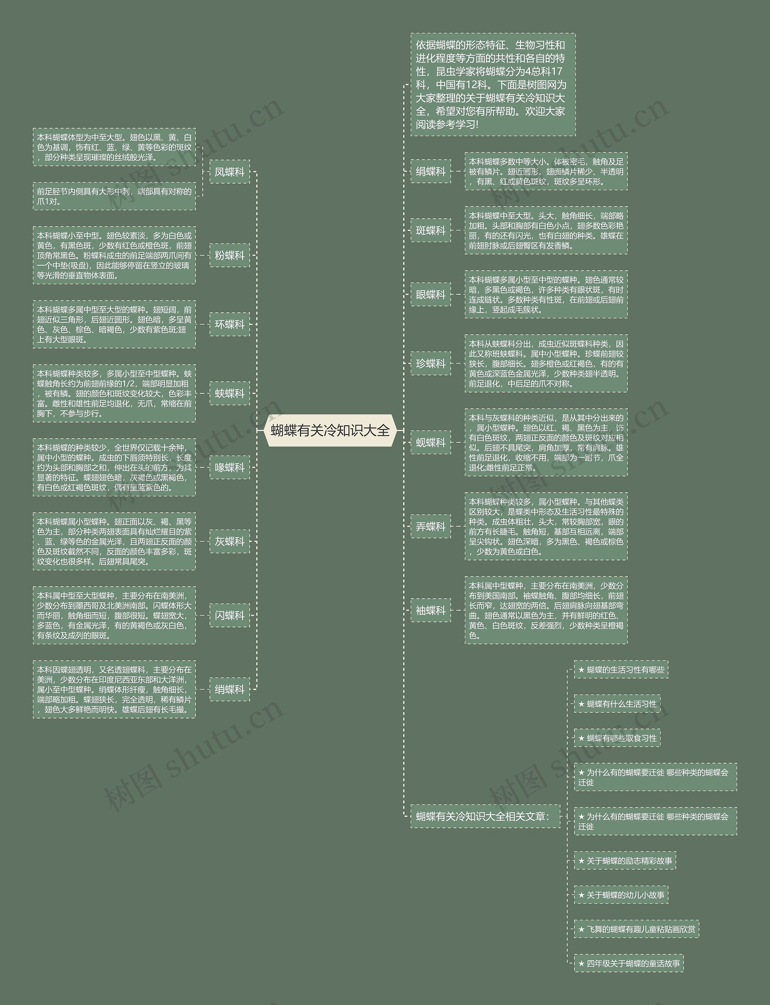 蝴蝶有关冷知识大全思维导图