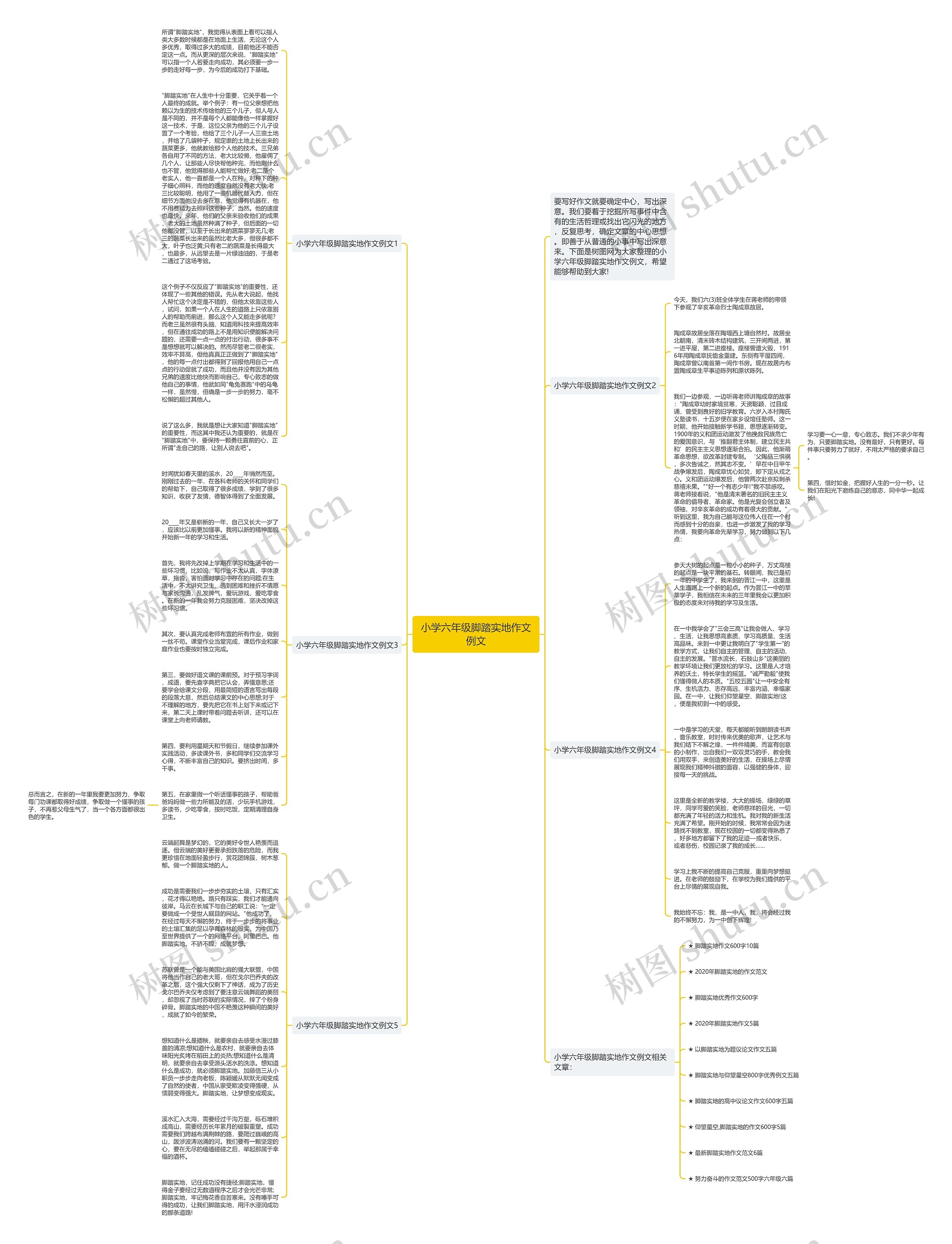 小学六年级脚踏实地作文例文思维导图