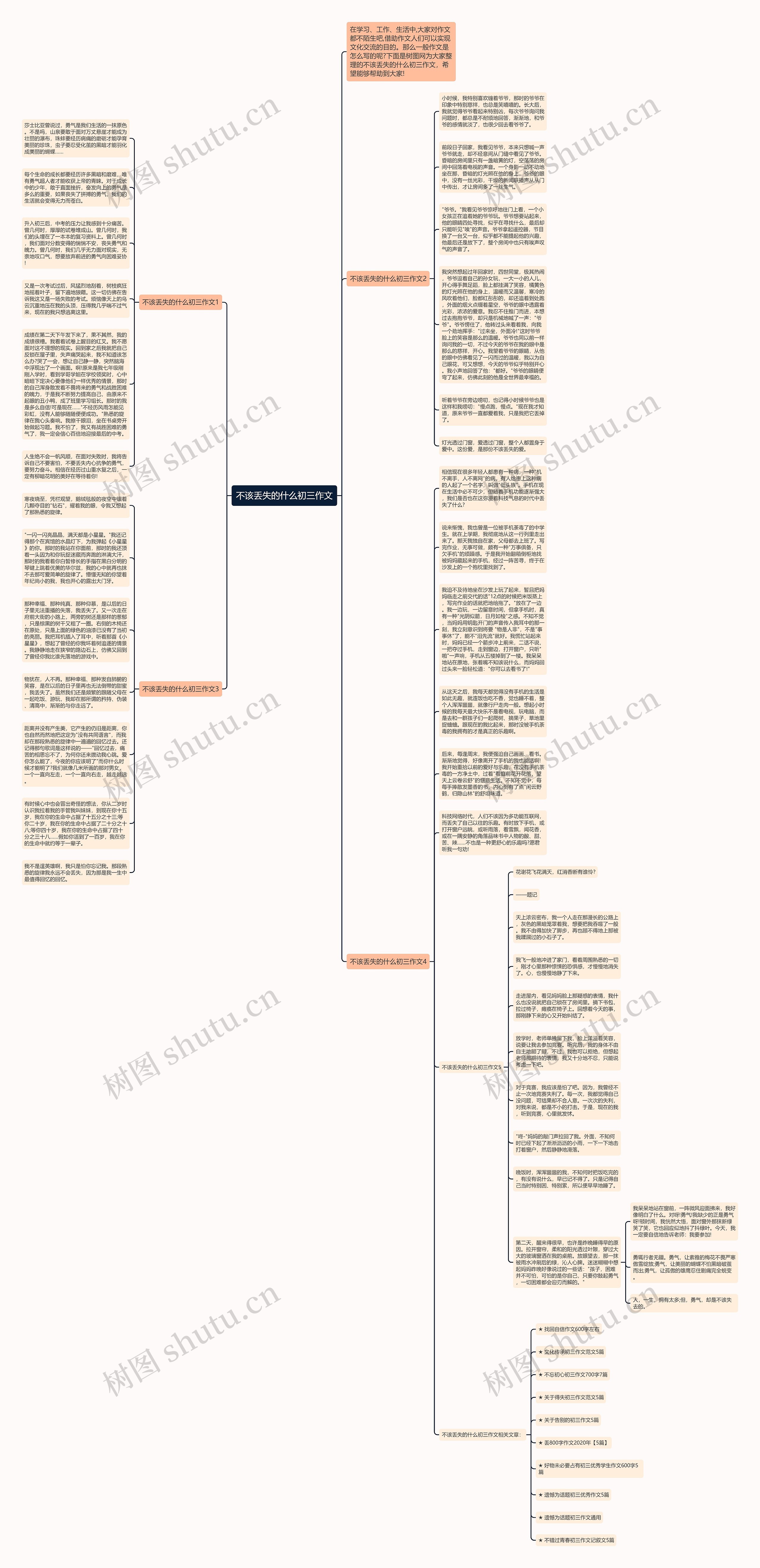 不该丢失的什么初三作文思维导图