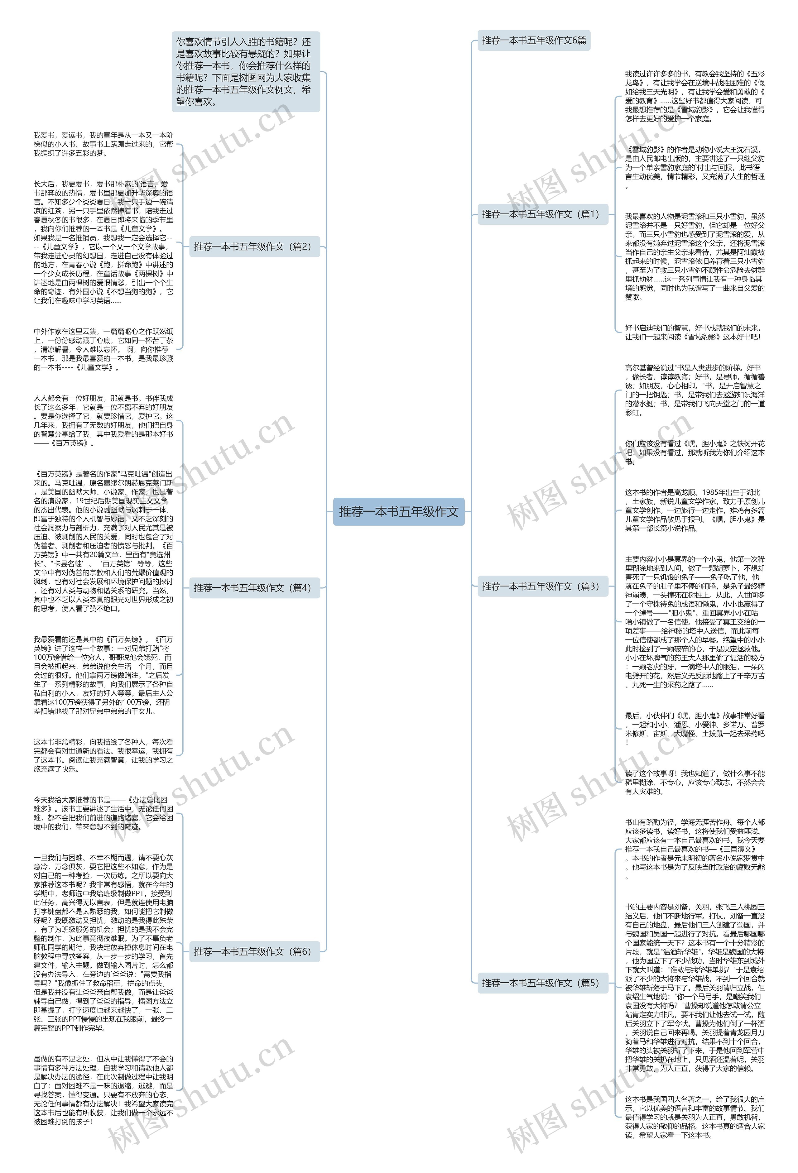推荐一本书五年级作文思维导图