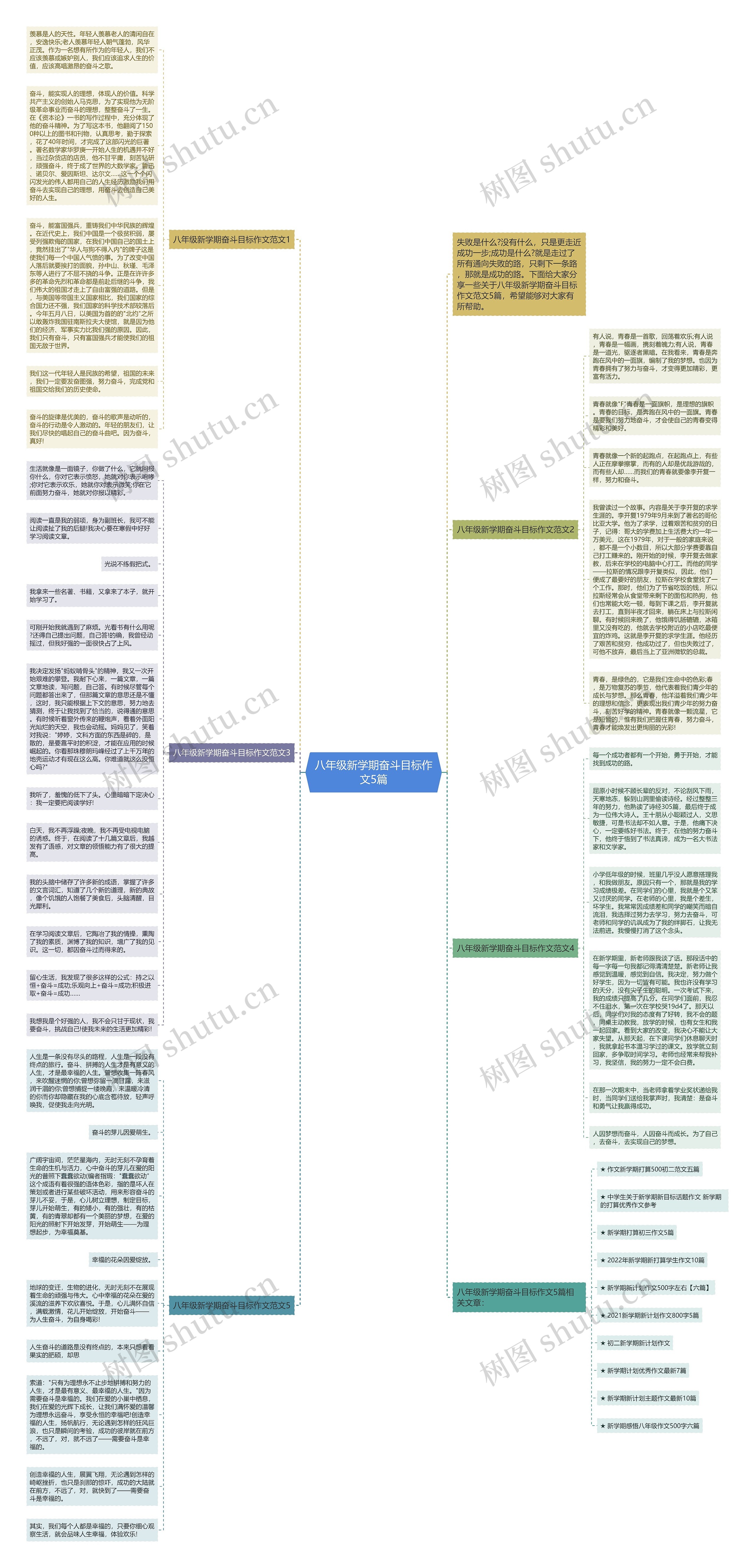八年级新学期奋斗目标作文5篇思维导图