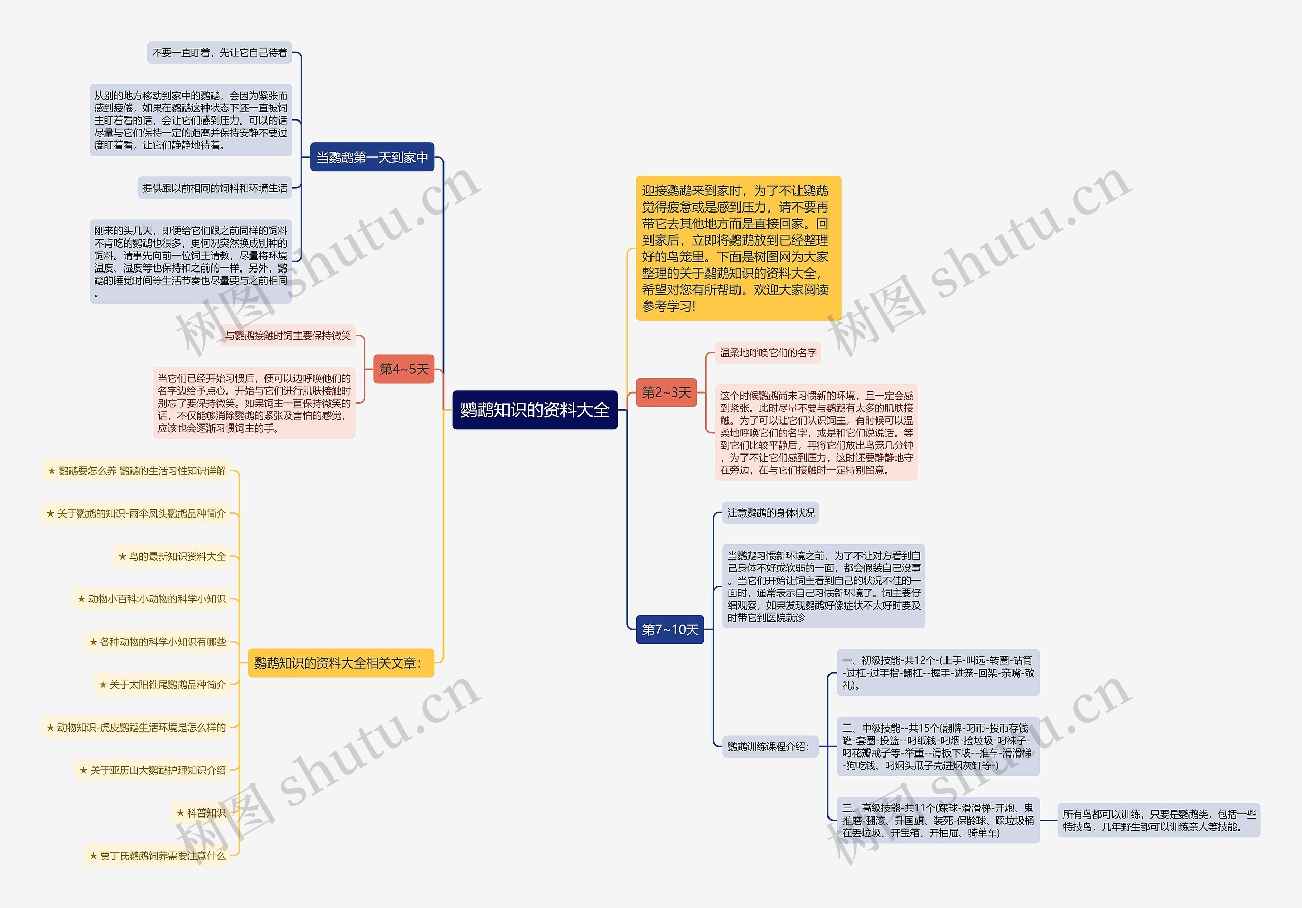 鹦鹉知识的资料大全思维导图