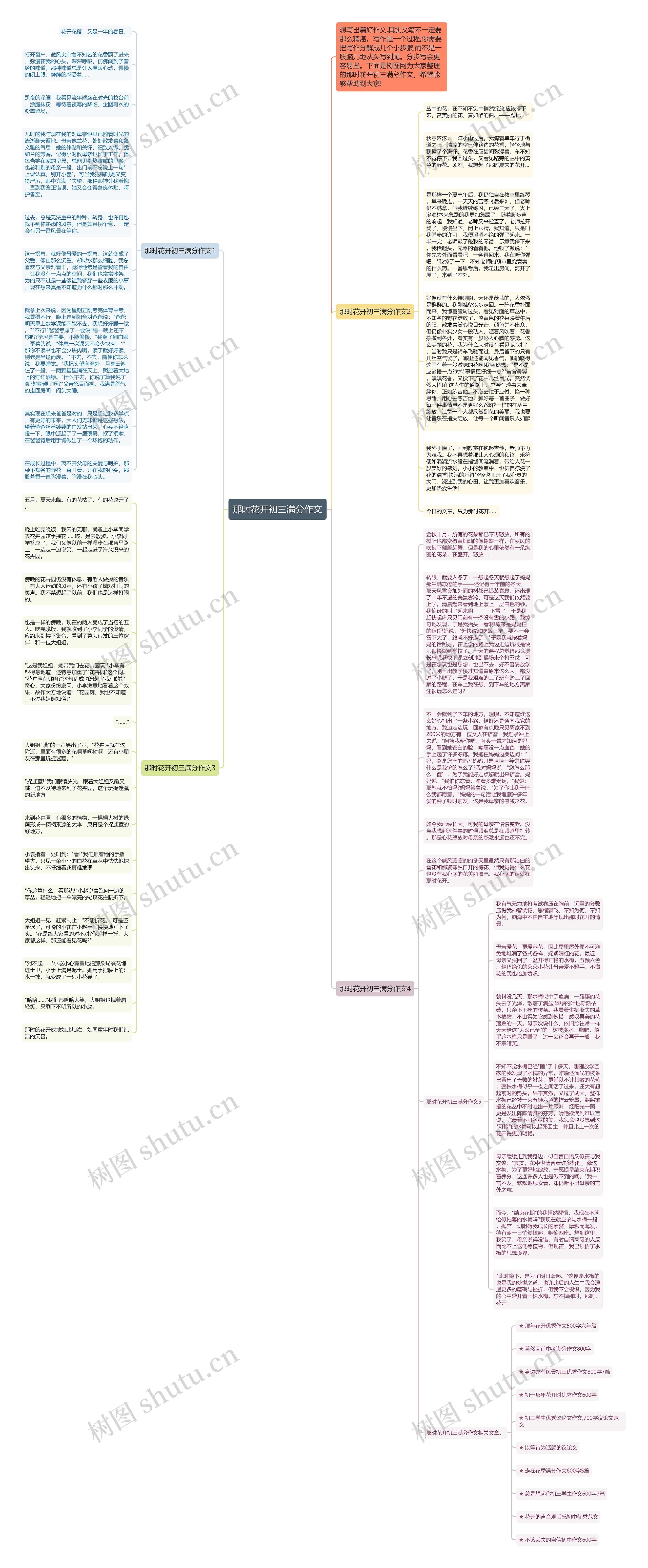 那时花开初三满分作文思维导图