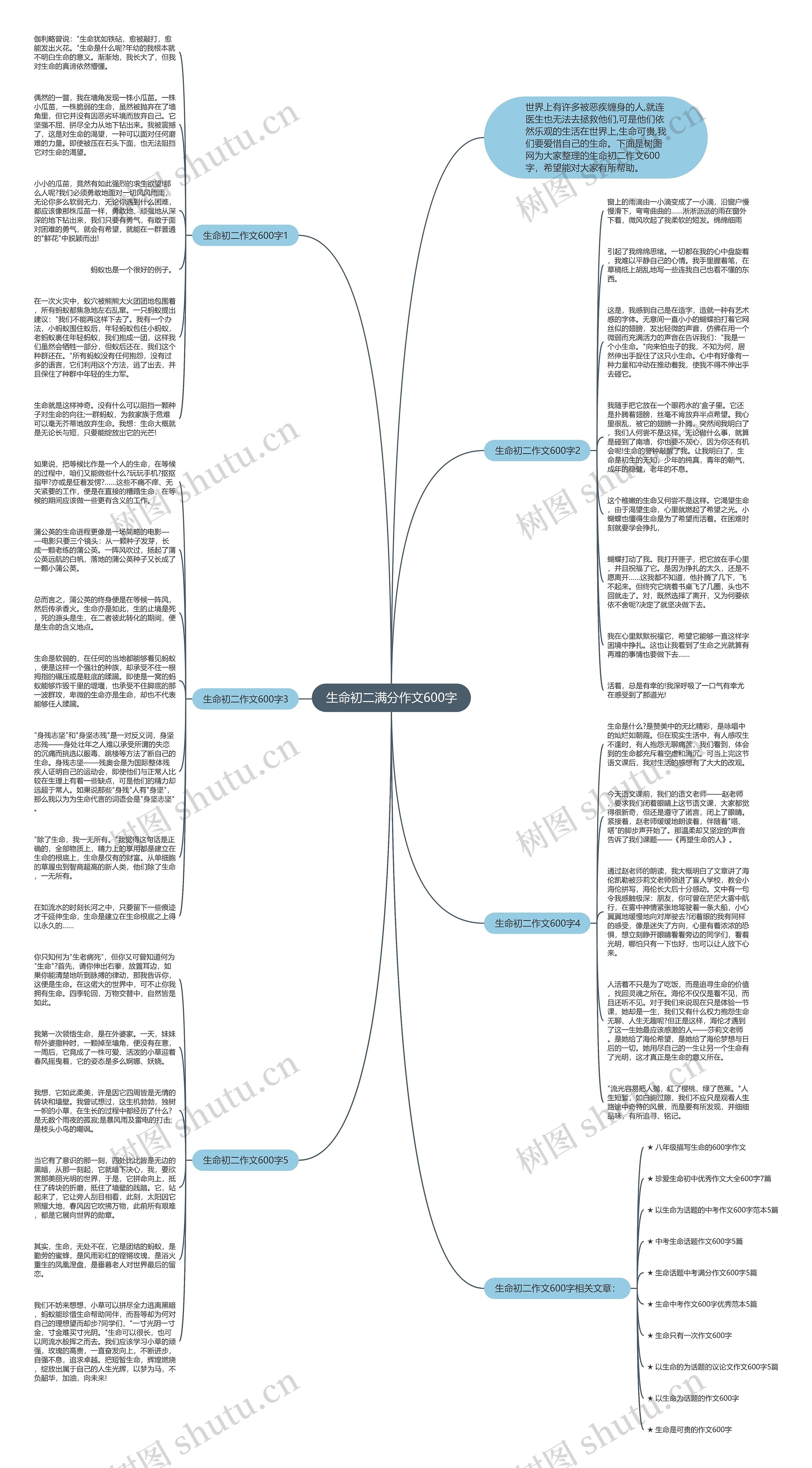 生命初二满分作文600字思维导图