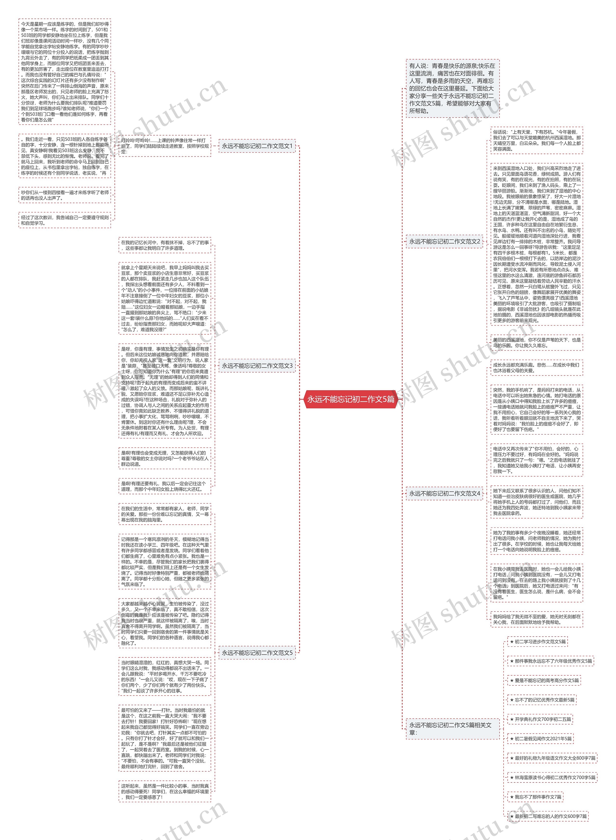 永远不能忘记初二作文5篇思维导图