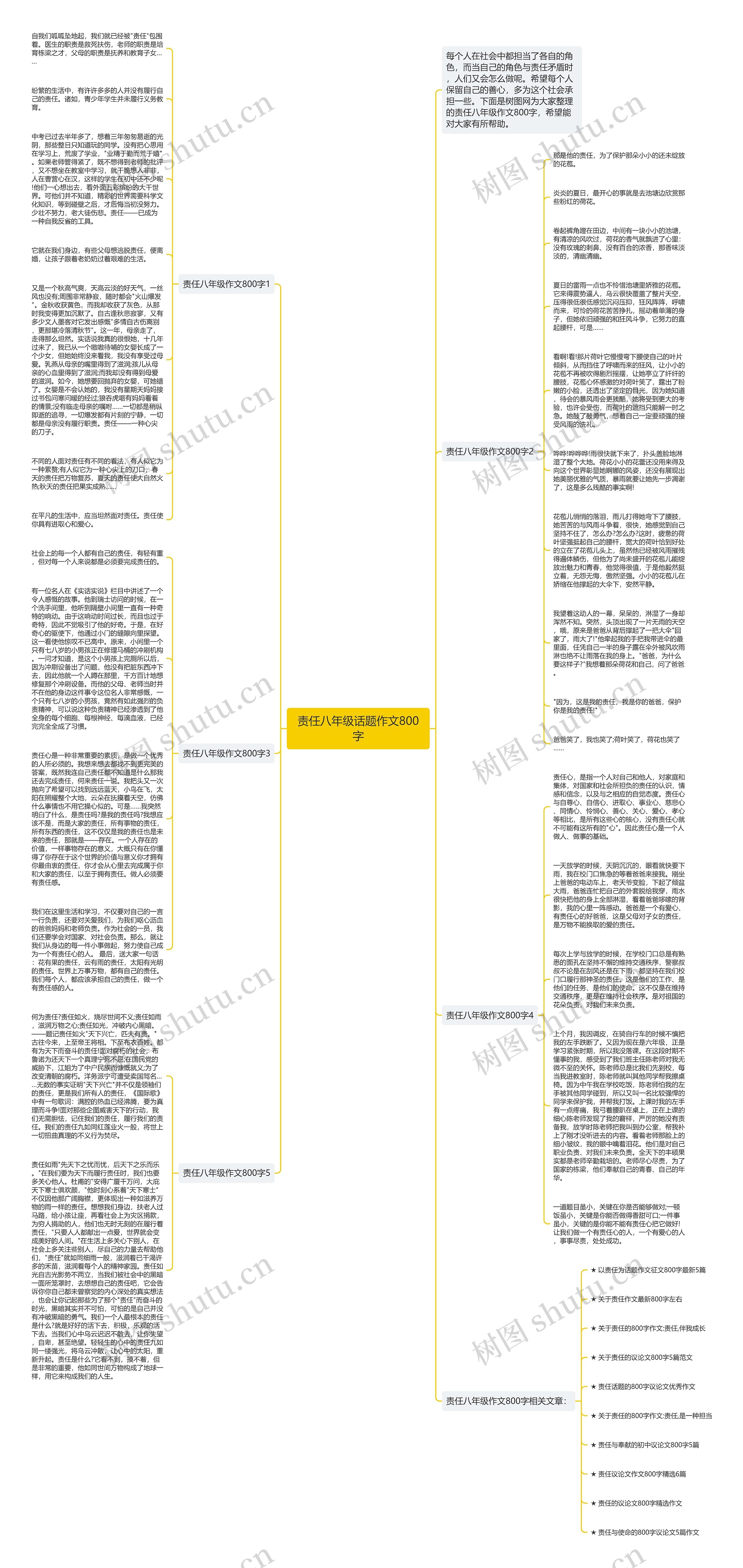责任八年级话题作文800字思维导图