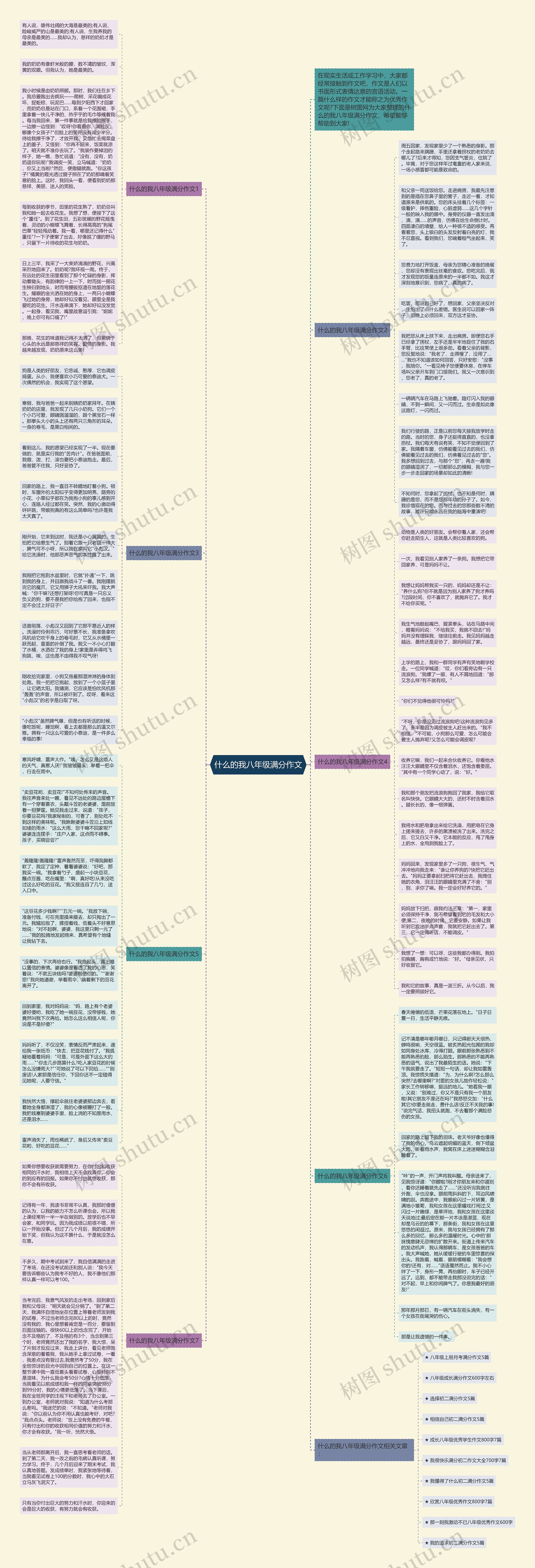 什么的我八年级满分作文思维导图