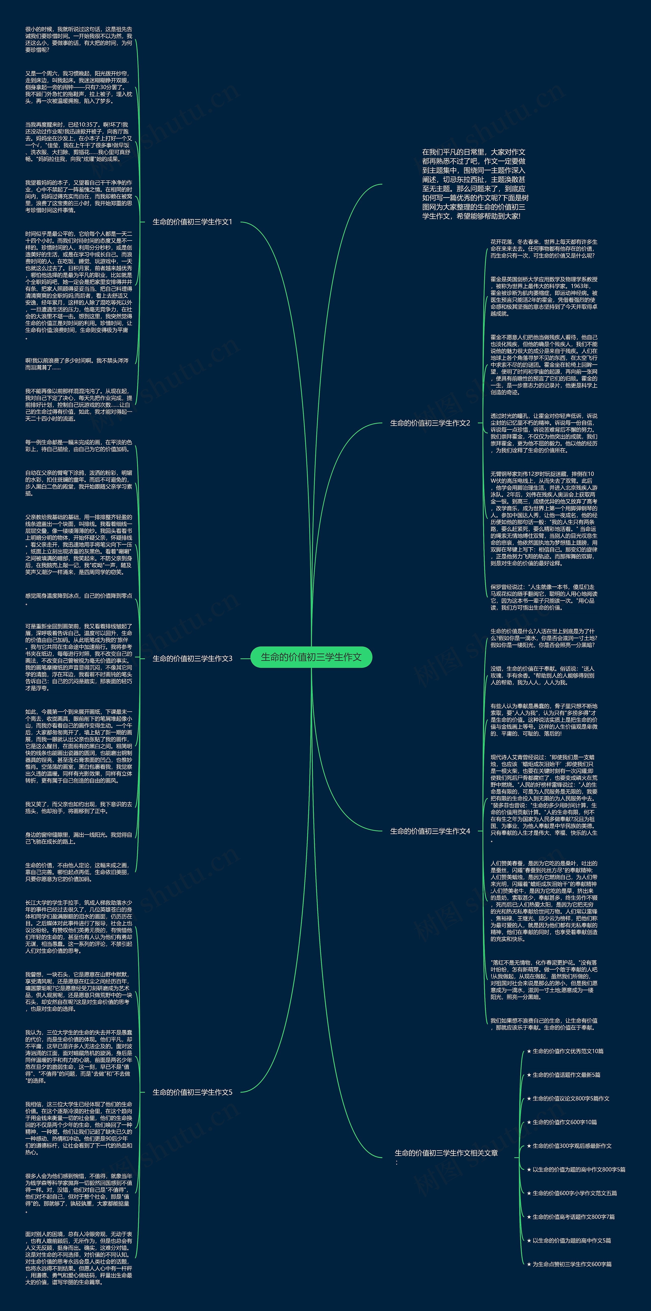 生命的价值初三学生作文思维导图