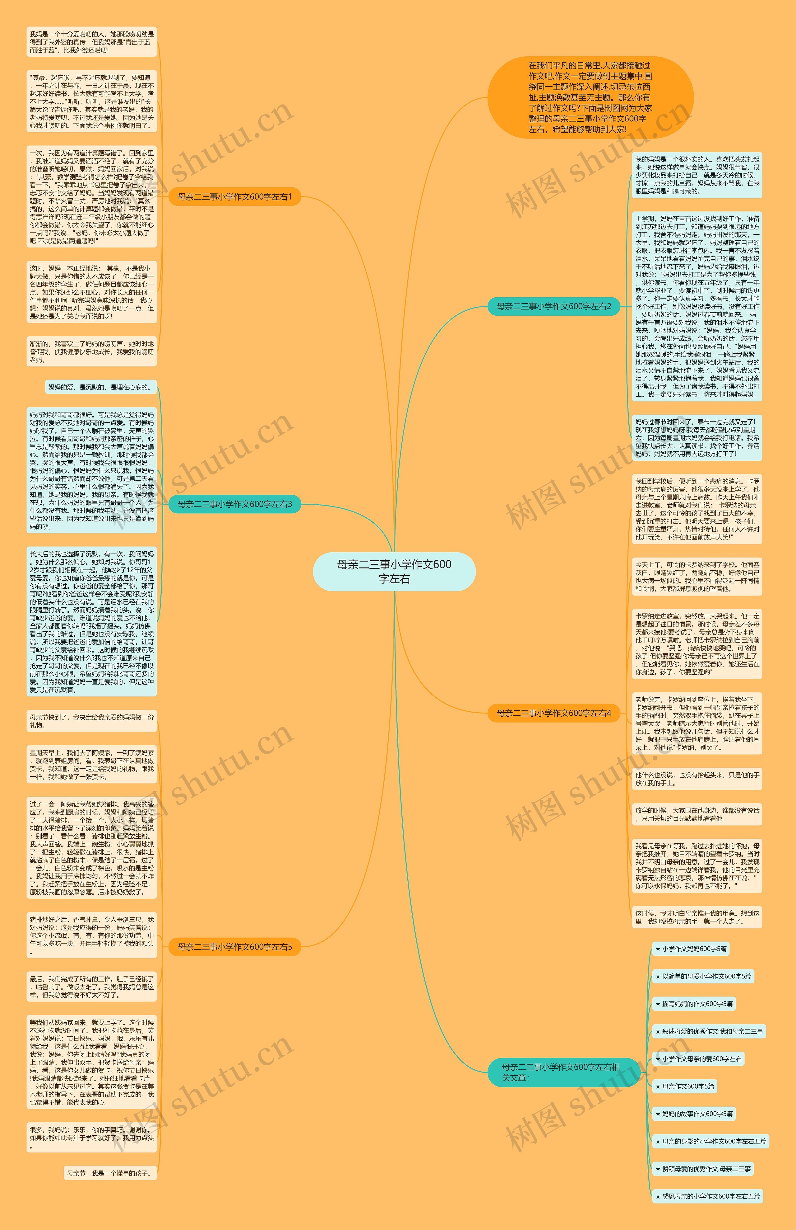 母亲二三事小学作文600字左右思维导图