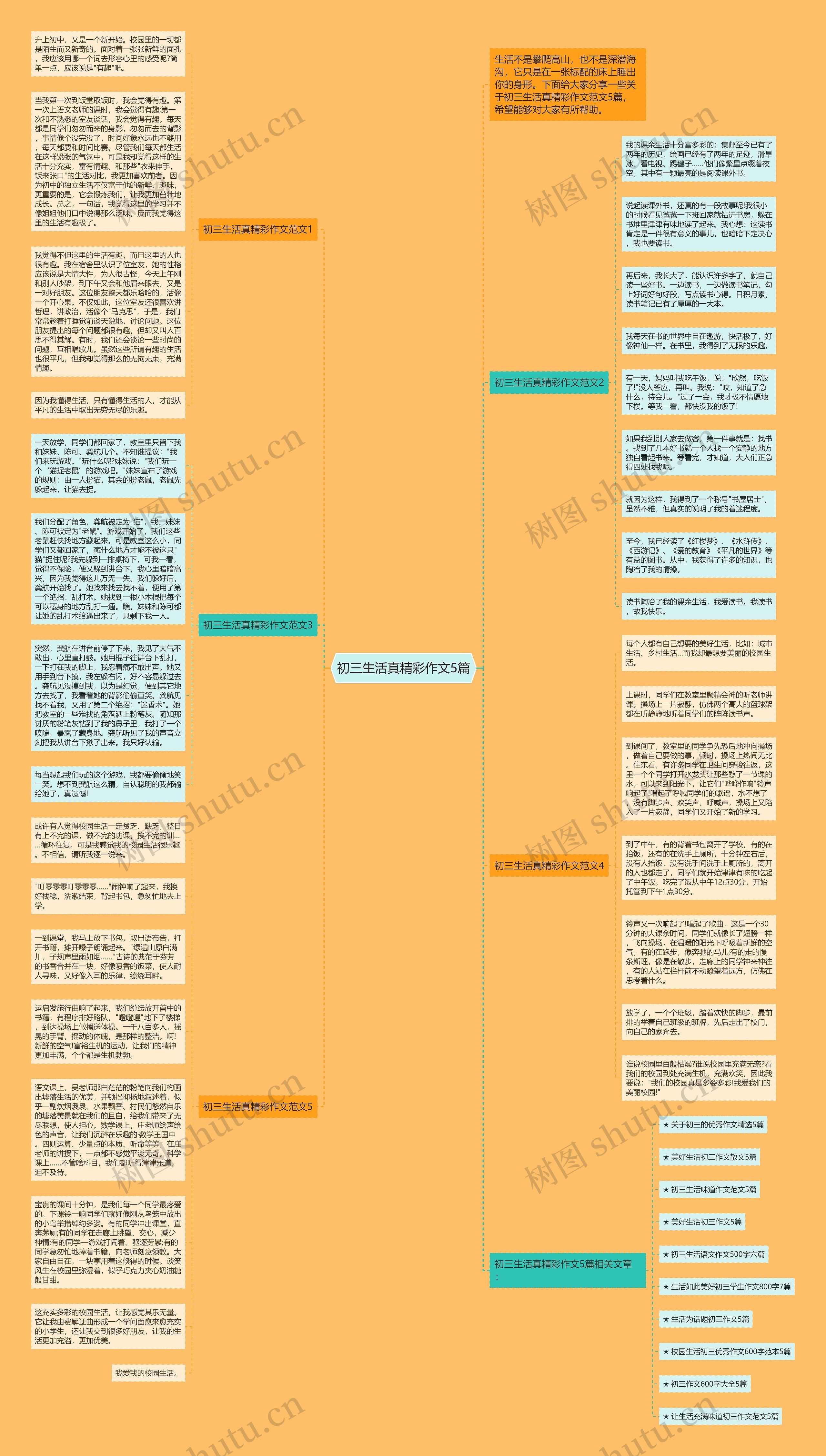 初三生活真精彩作文5篇思维导图