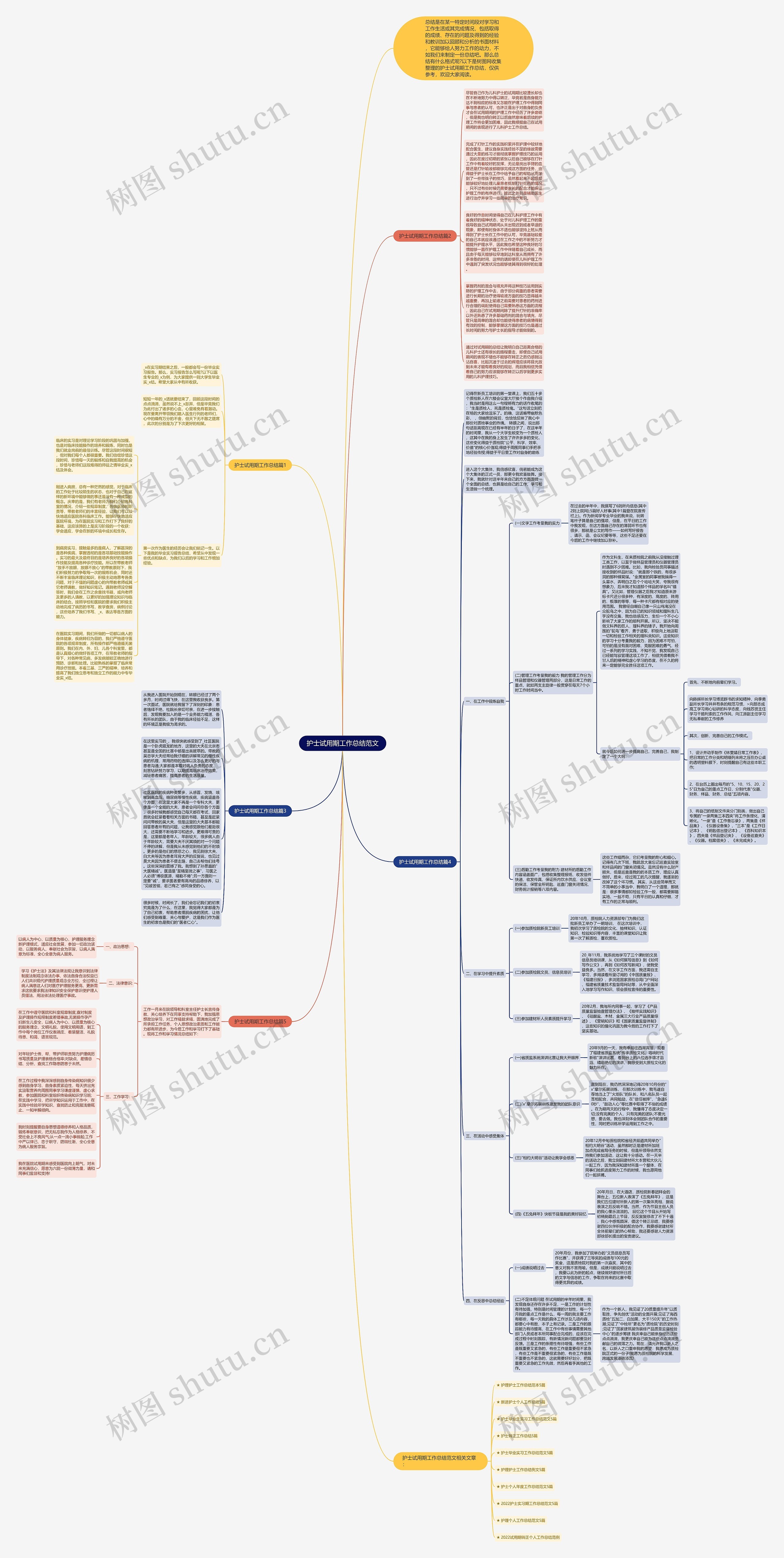 护士试用期工作总结范文思维导图