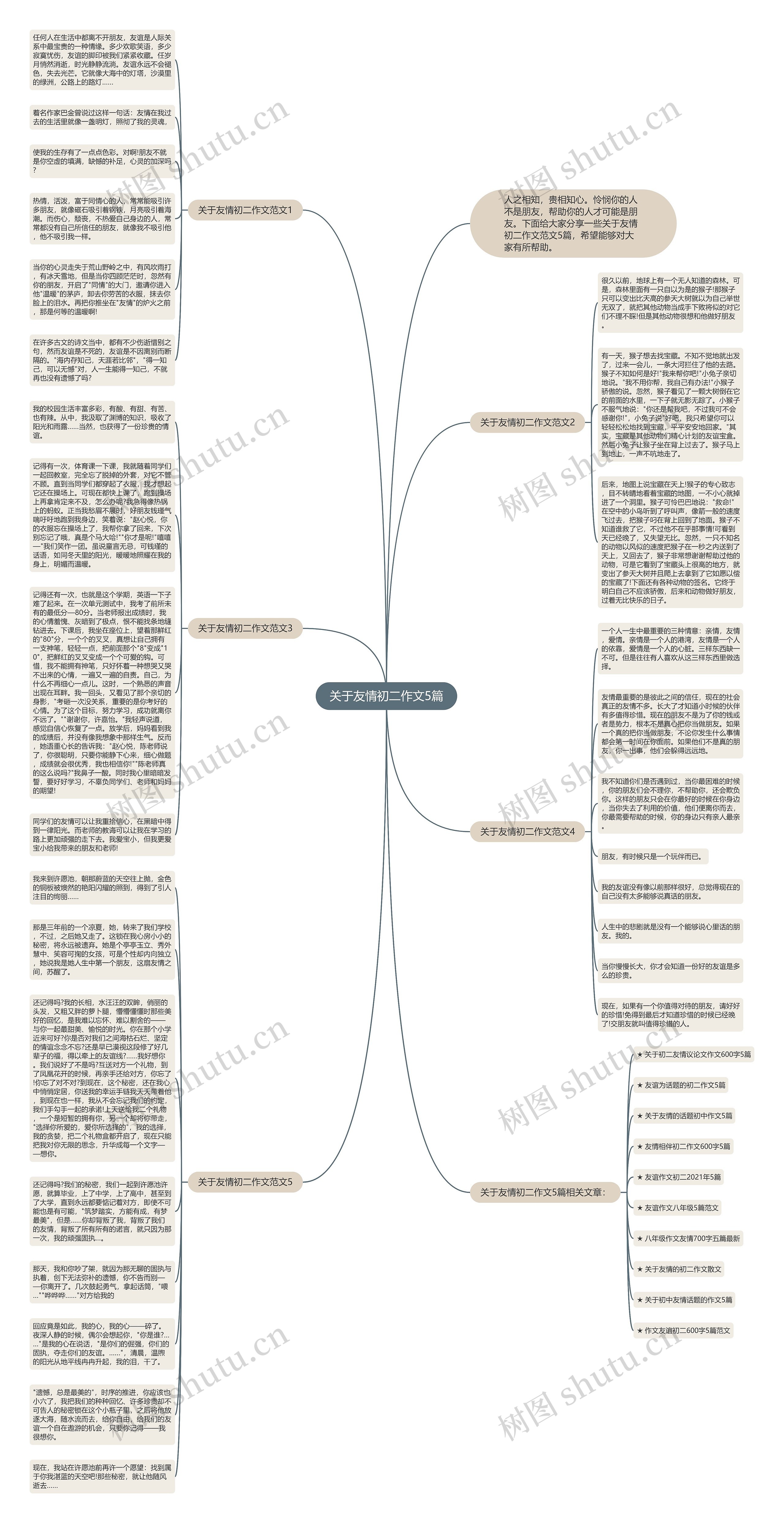 关于友情初二作文5篇思维导图